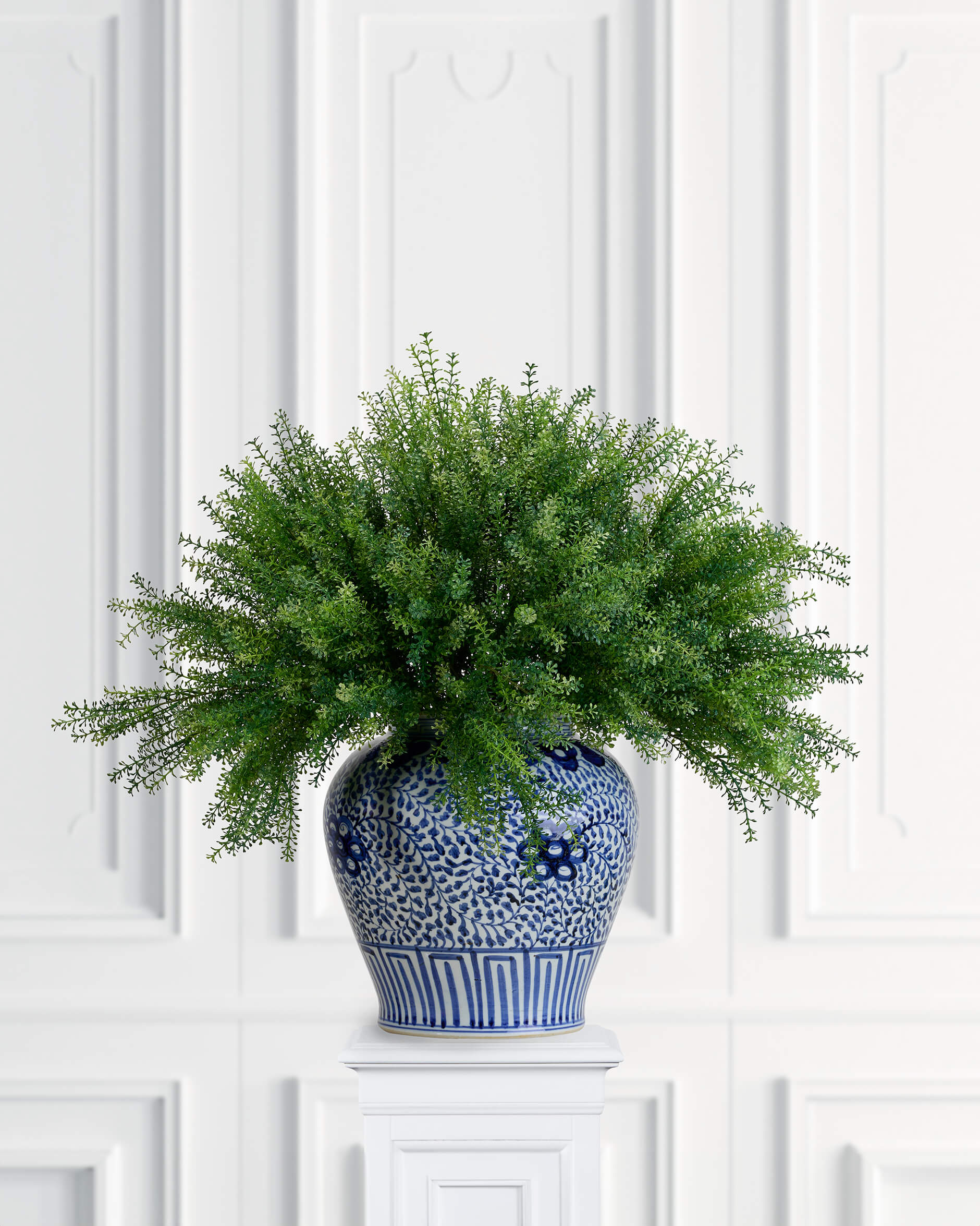 Thlapsi snittblomma grön