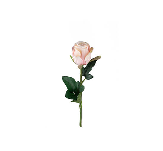 Lyserosa - Rose snittblomst honninggul