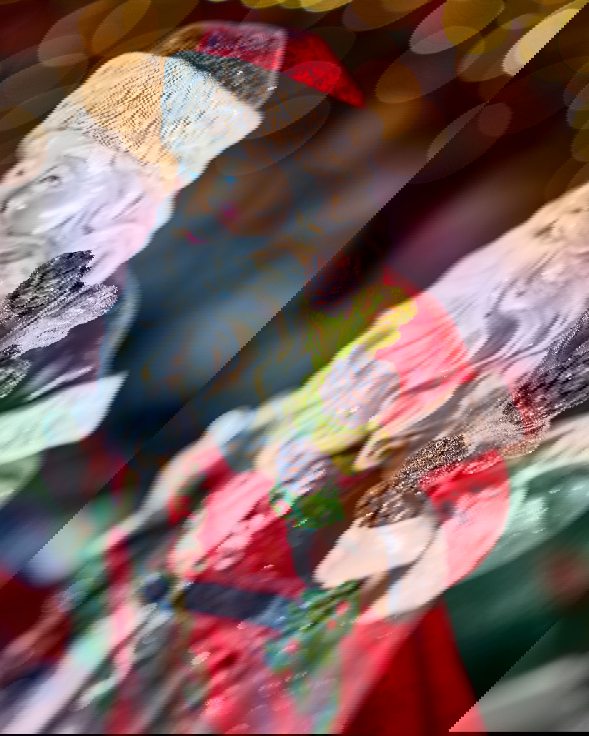 Fraser nissedekorasjon