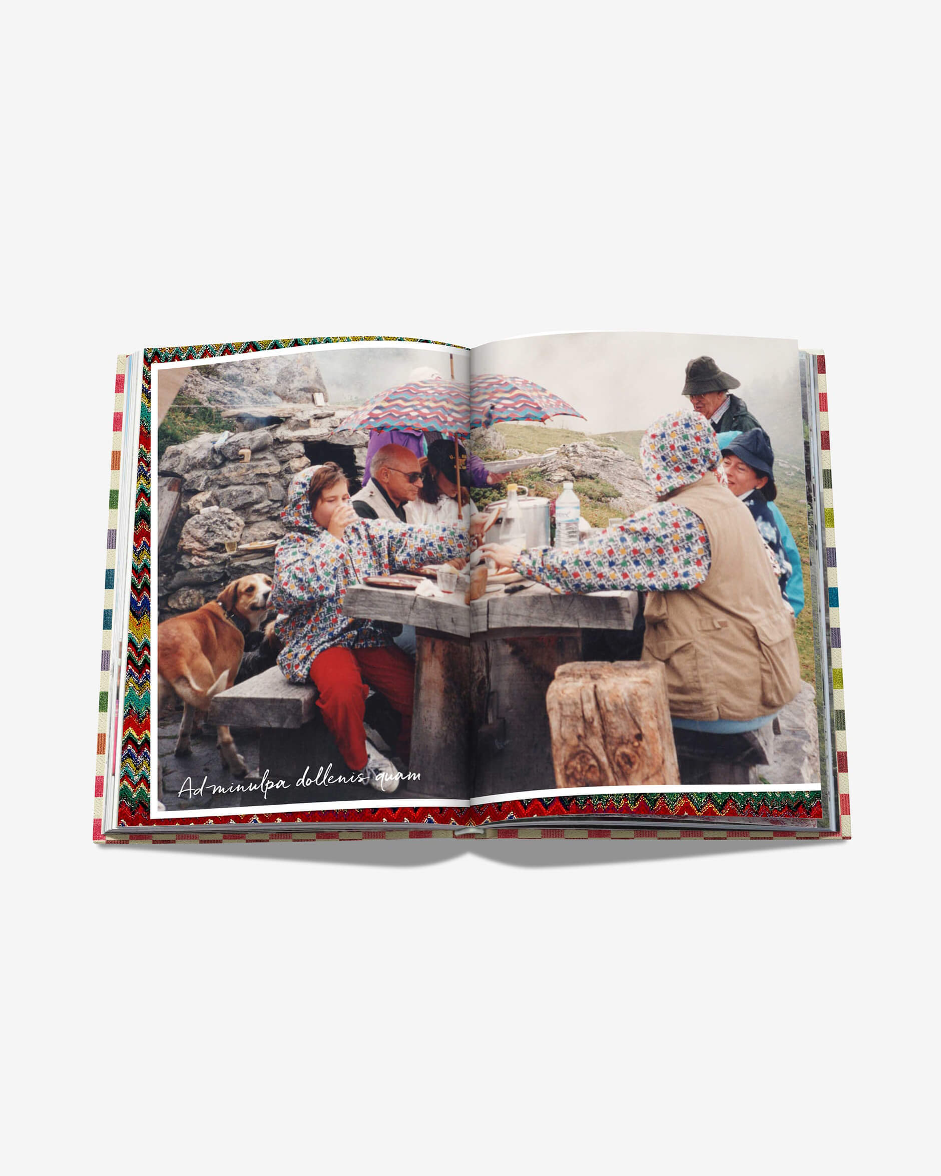 The Missoni Family Cookbook
