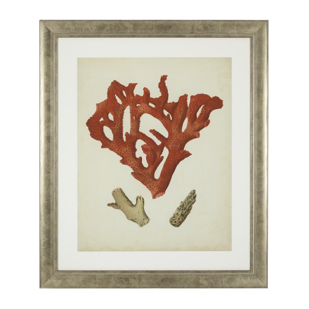 Antique Red Corals