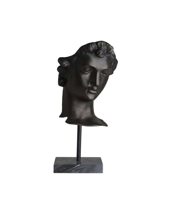 David statue bronse OUTLET