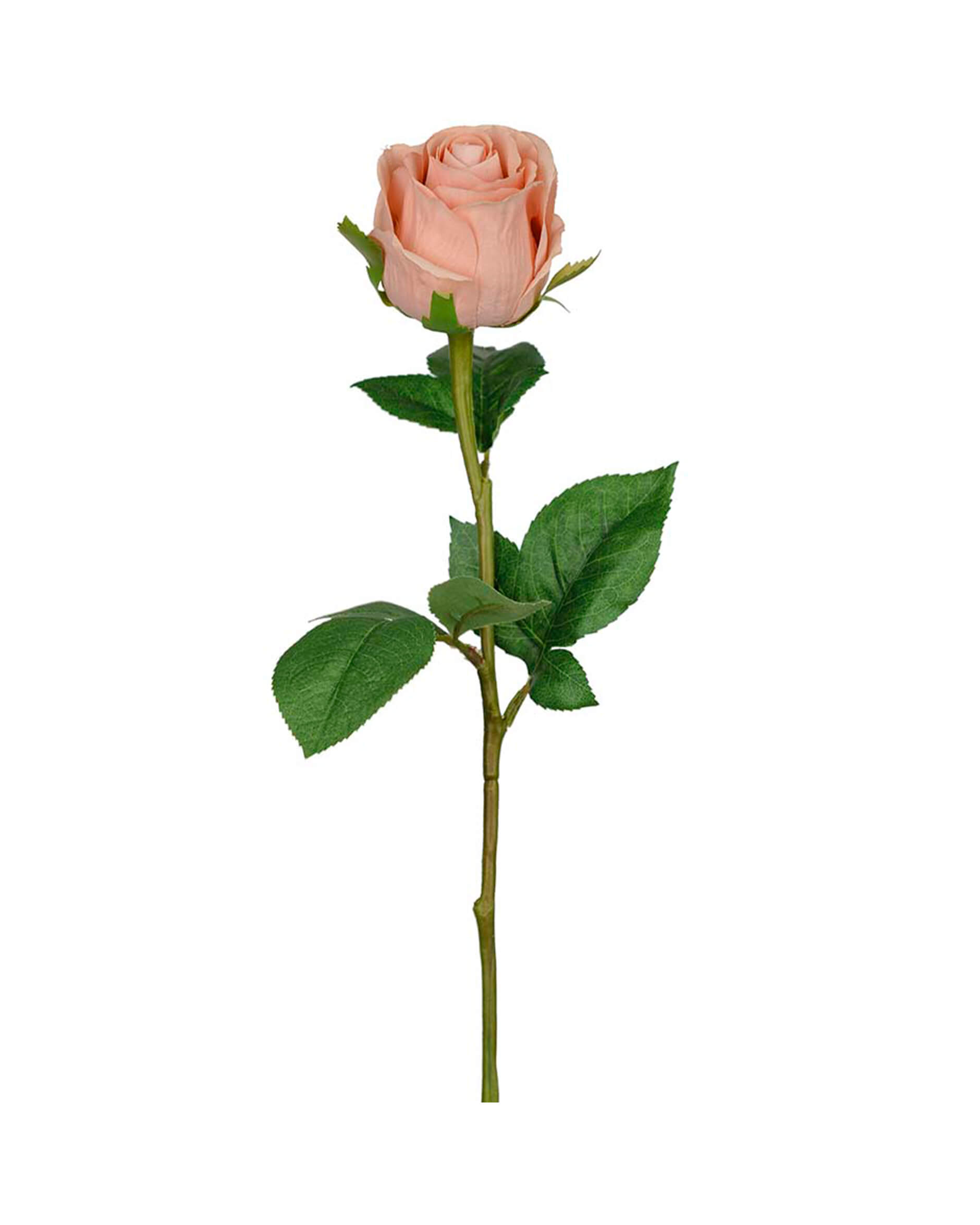 Ros snittblomma rosa OUTLET