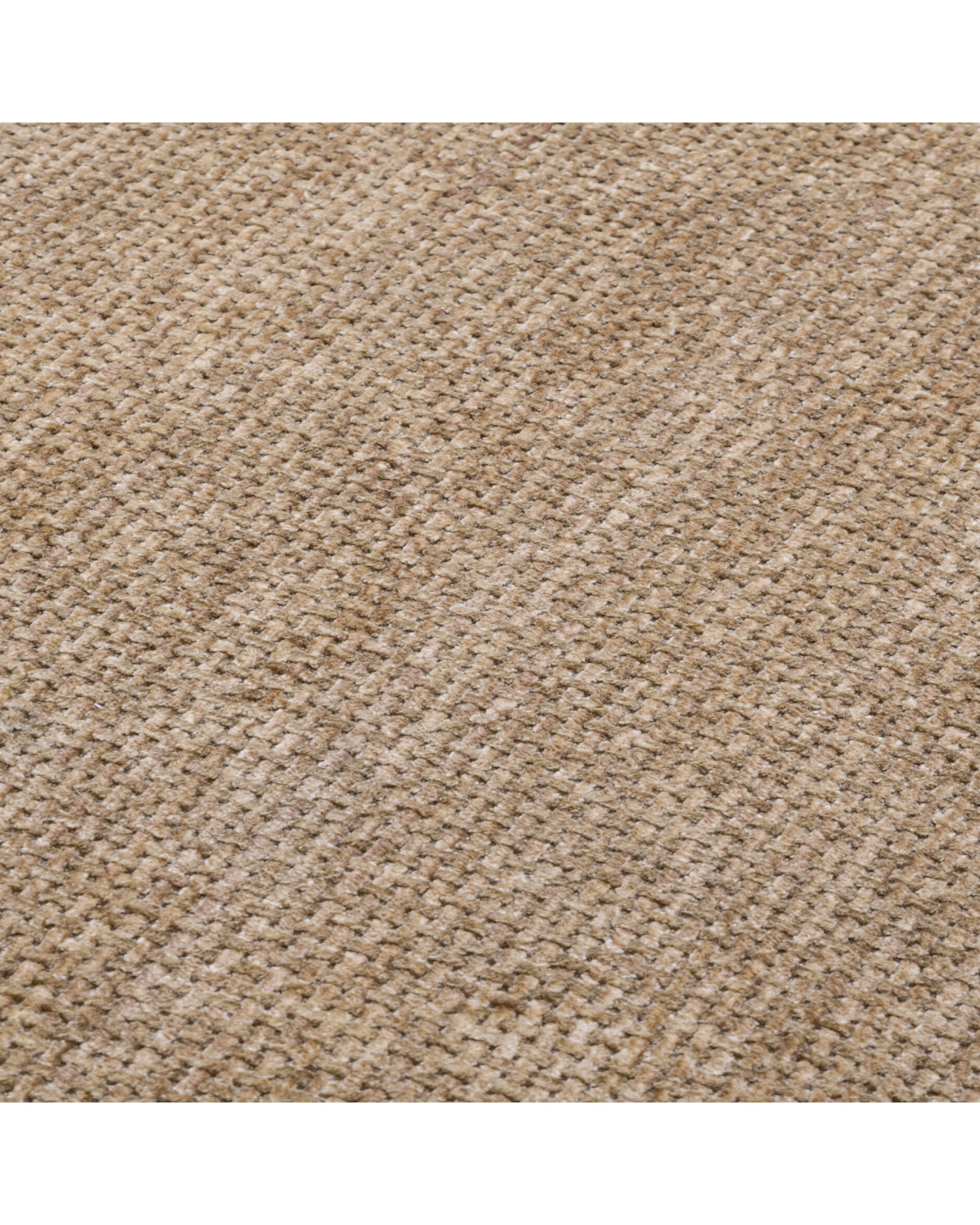 Björn soffa lyssa sand