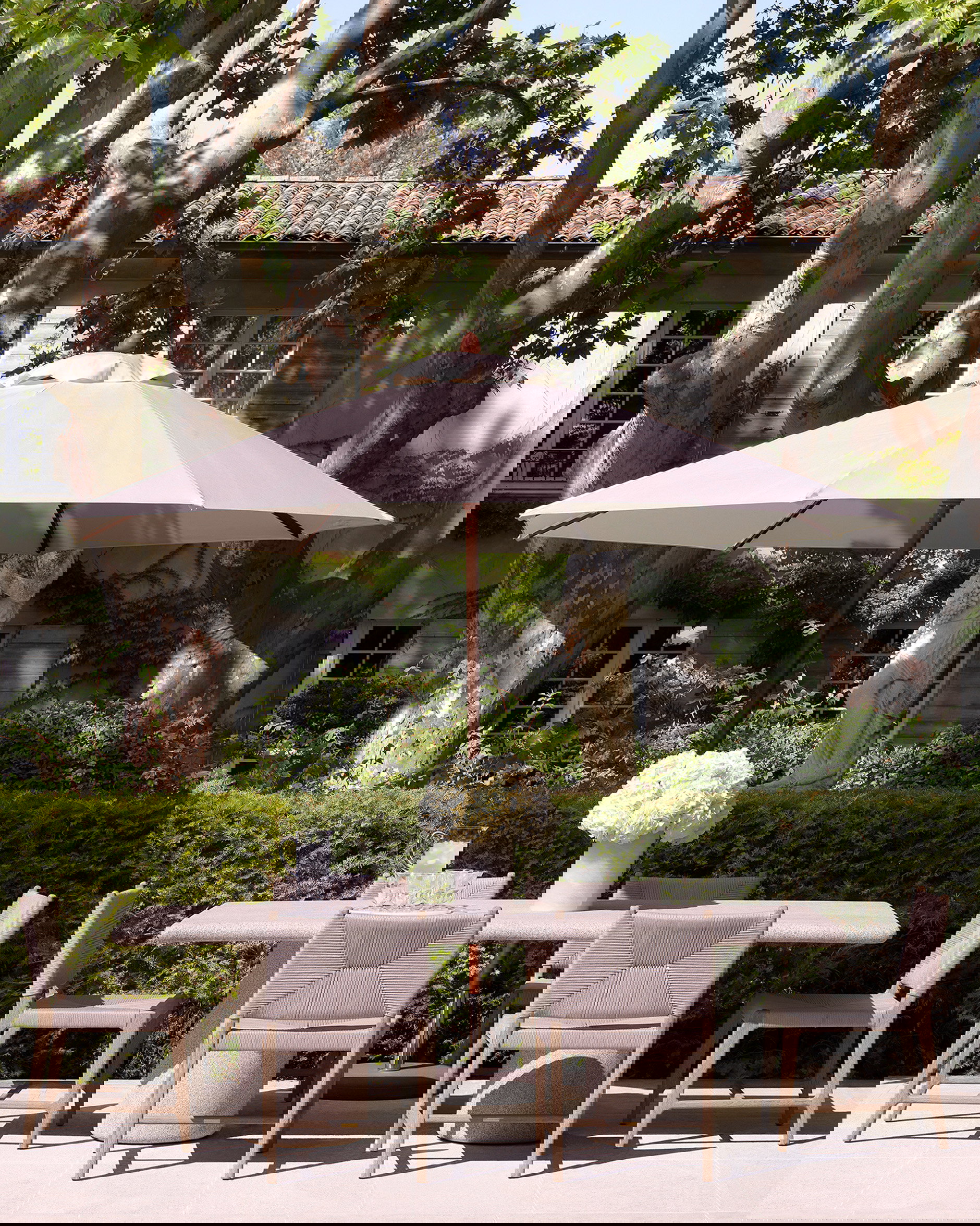 Pivetti dining chair in aged teak