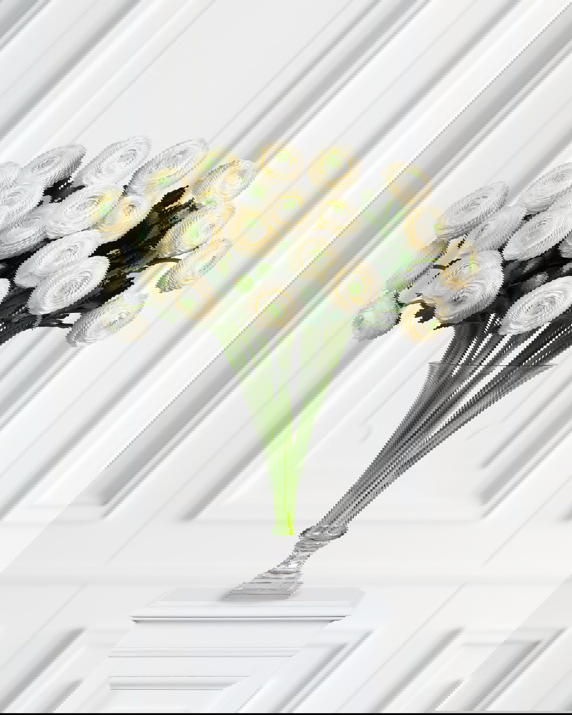 Ranunculus Cut Flower White