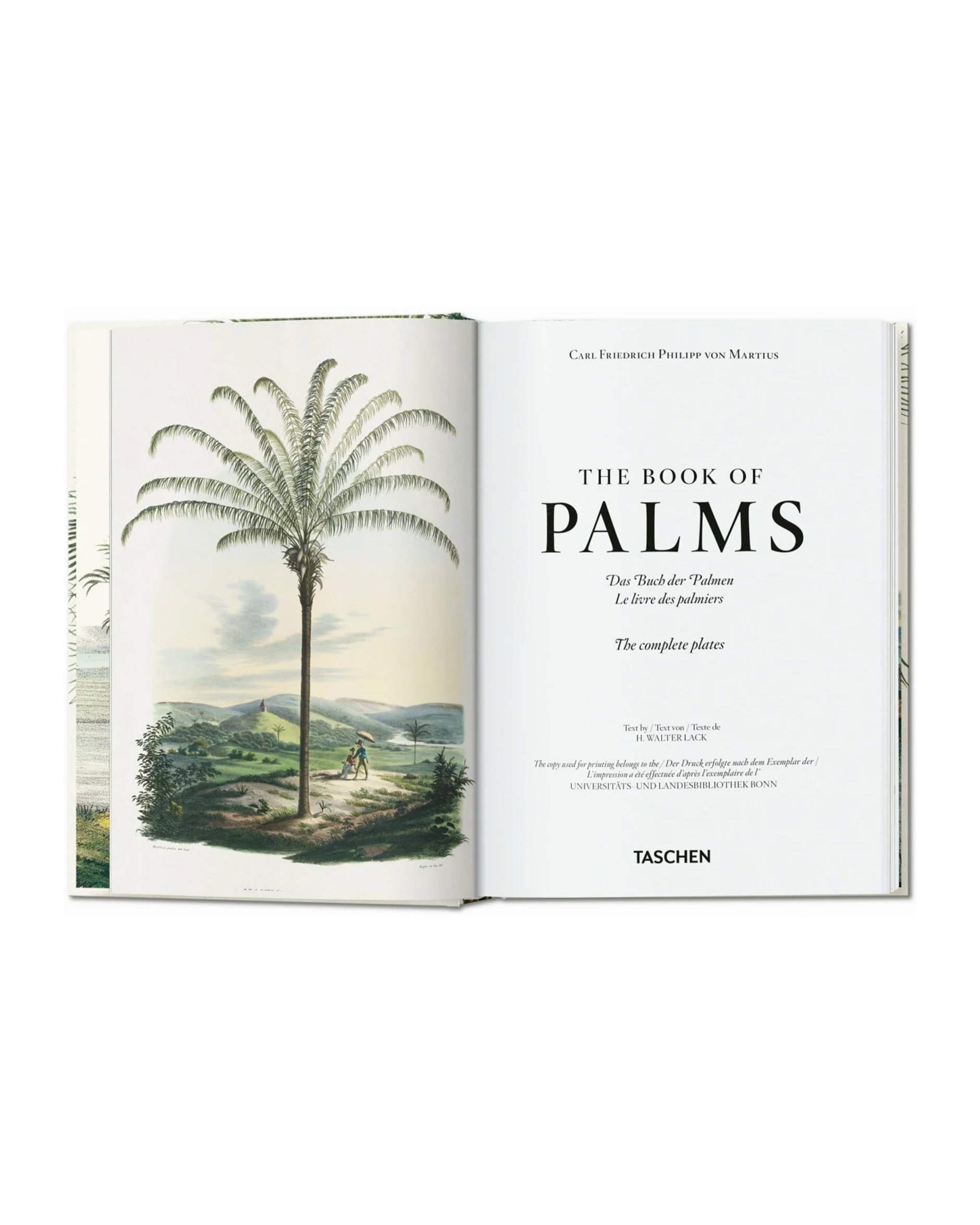 The Book of Palms. 45th Edt.