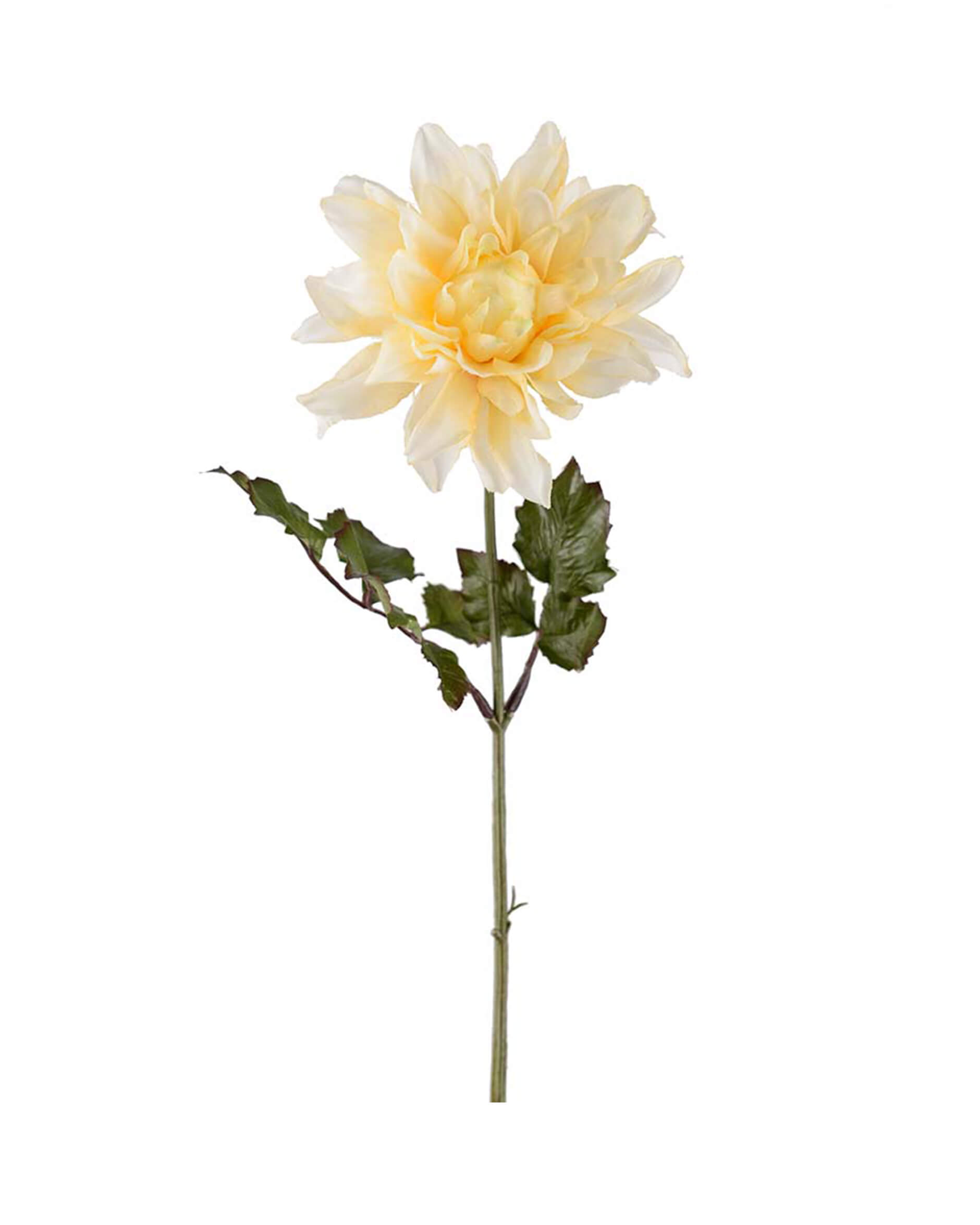Dahlia snittblomma gul