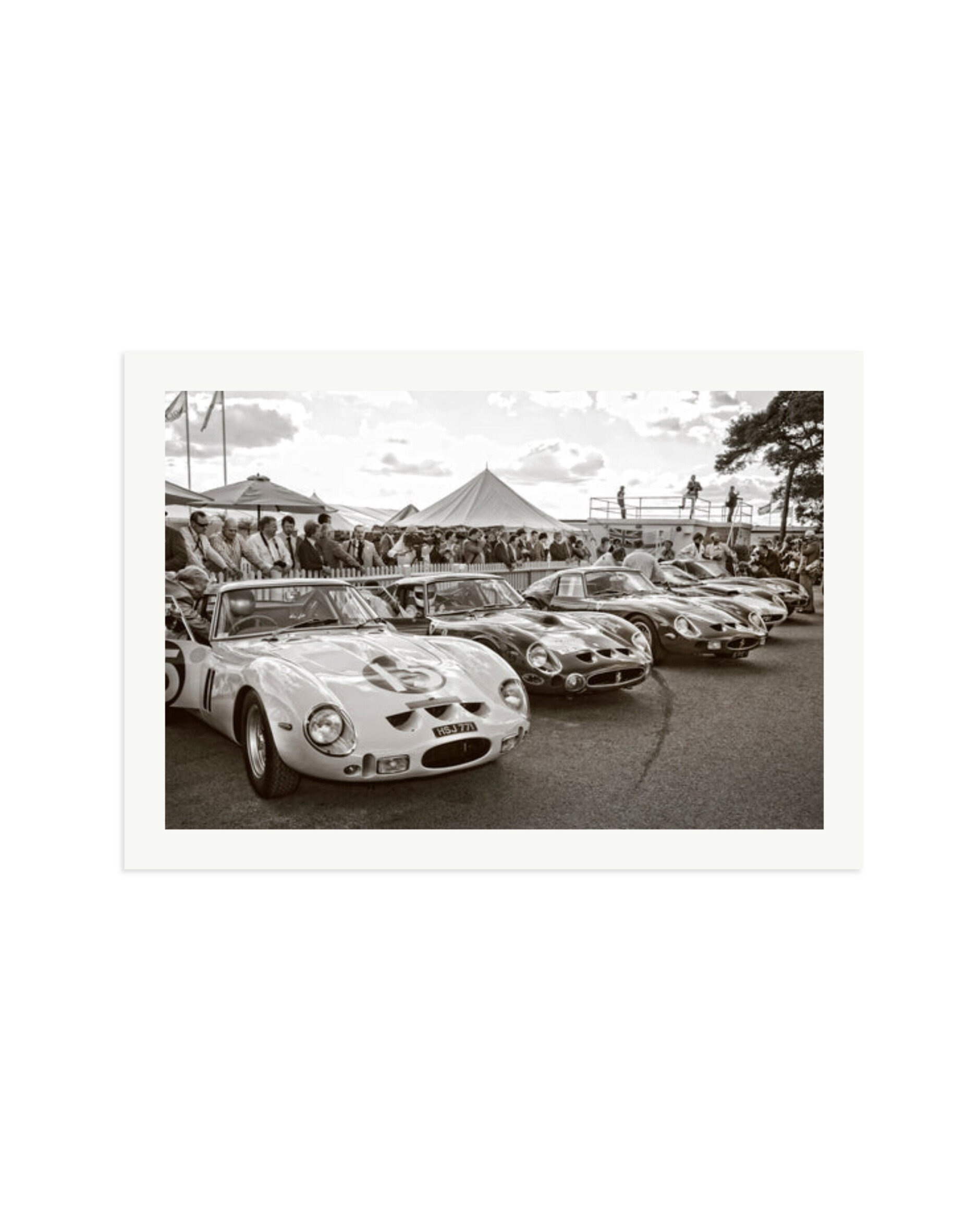 Goodwood Revival Ferarri 250 GTO's Print Only / XXL