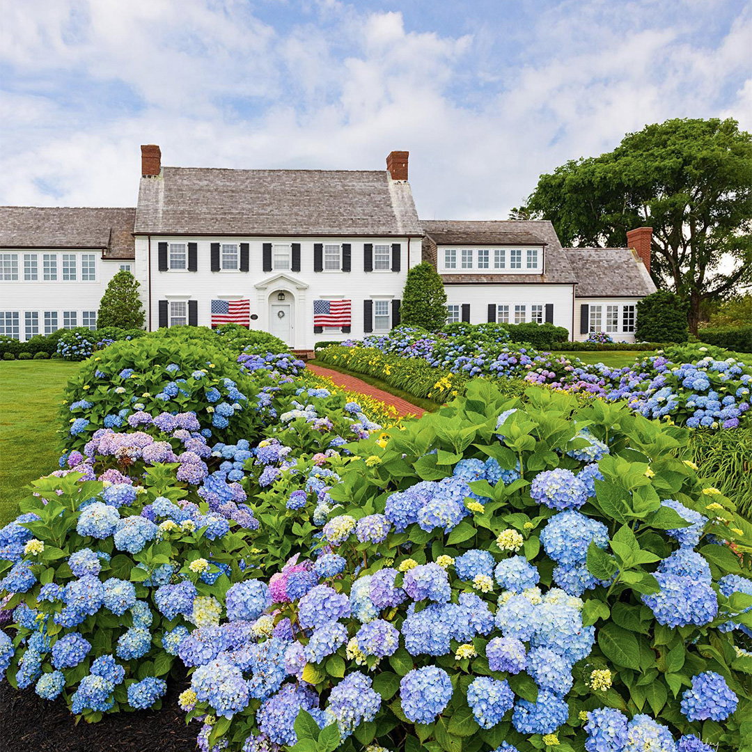 Newport Image
