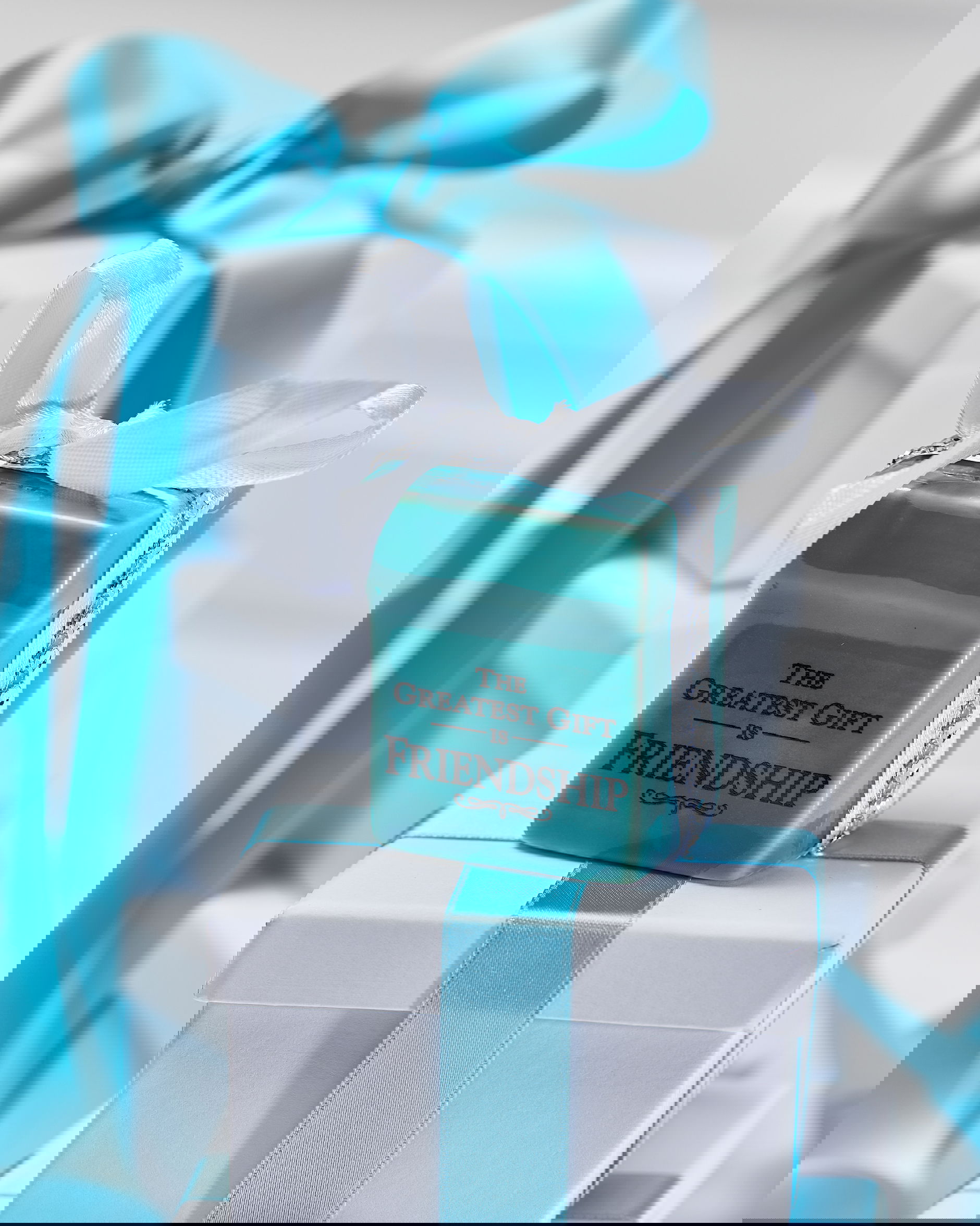 The greatest gift friendship dekoration