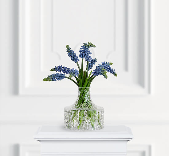 Grape Hyacinth Cut Flower Blue