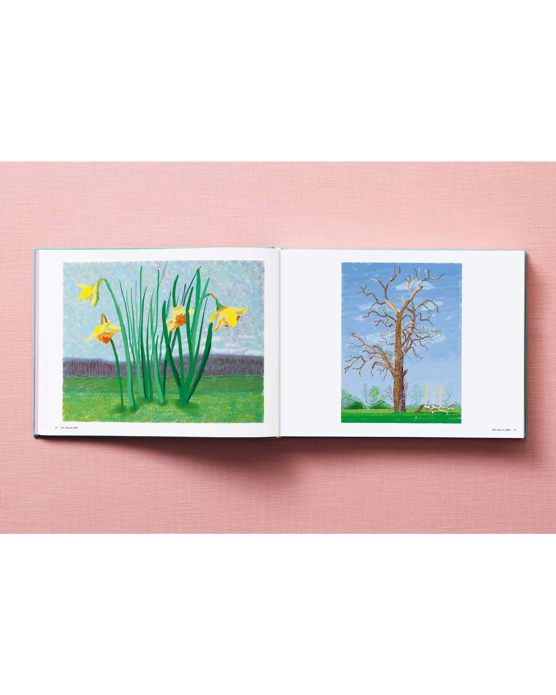 David Hockney. 220 for 2020