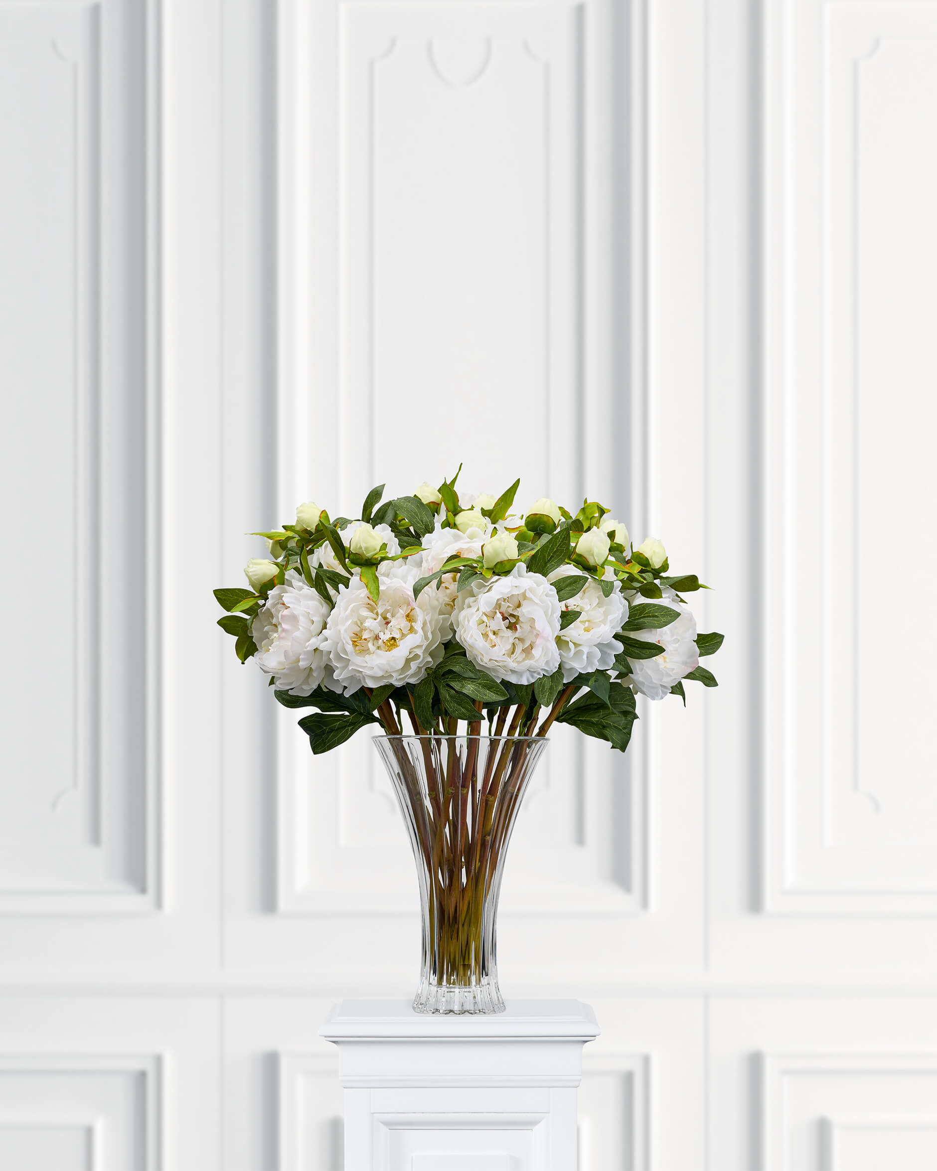 Peony Cut Flower White