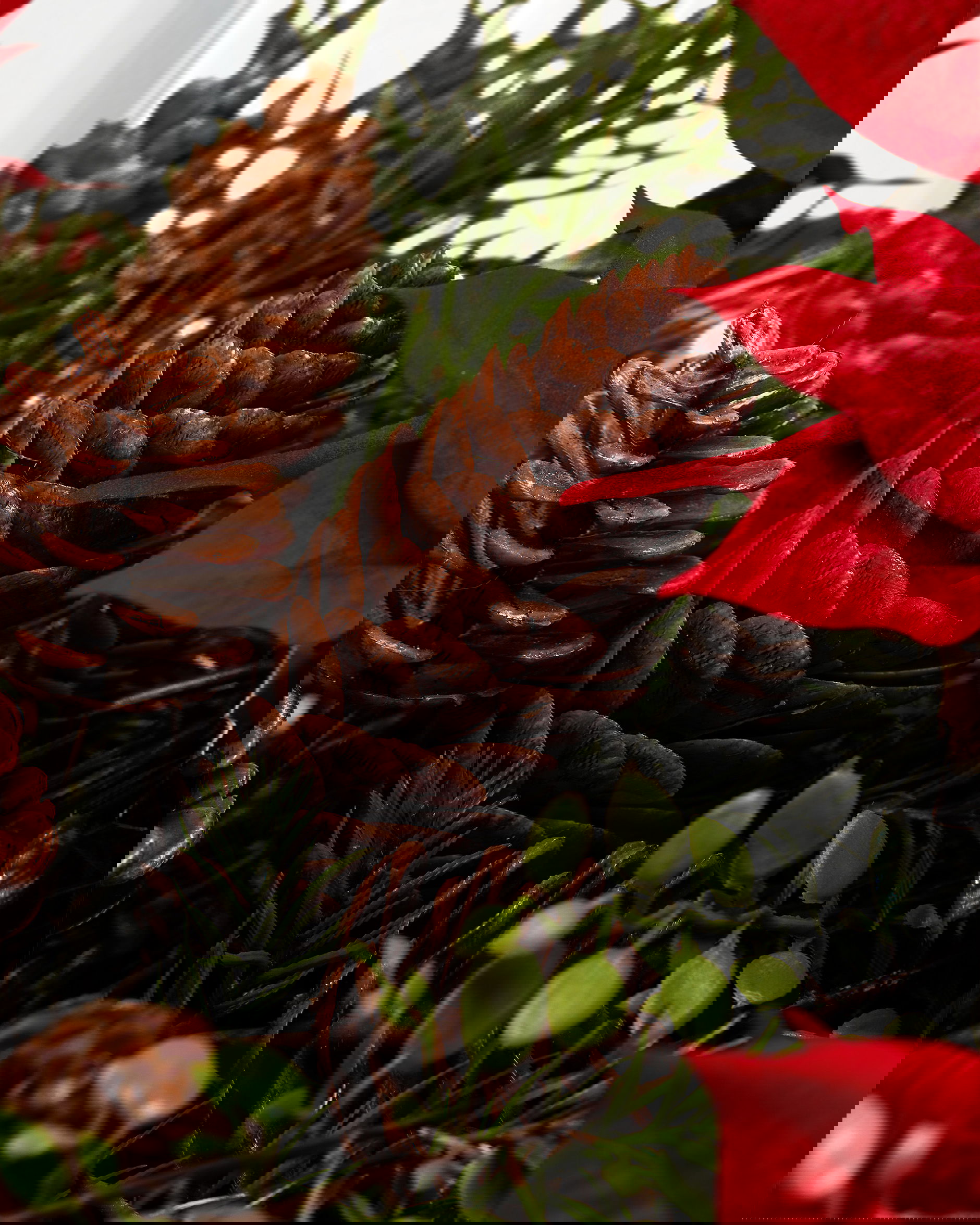 Joulutähti tekokasvi klipsillä punainen