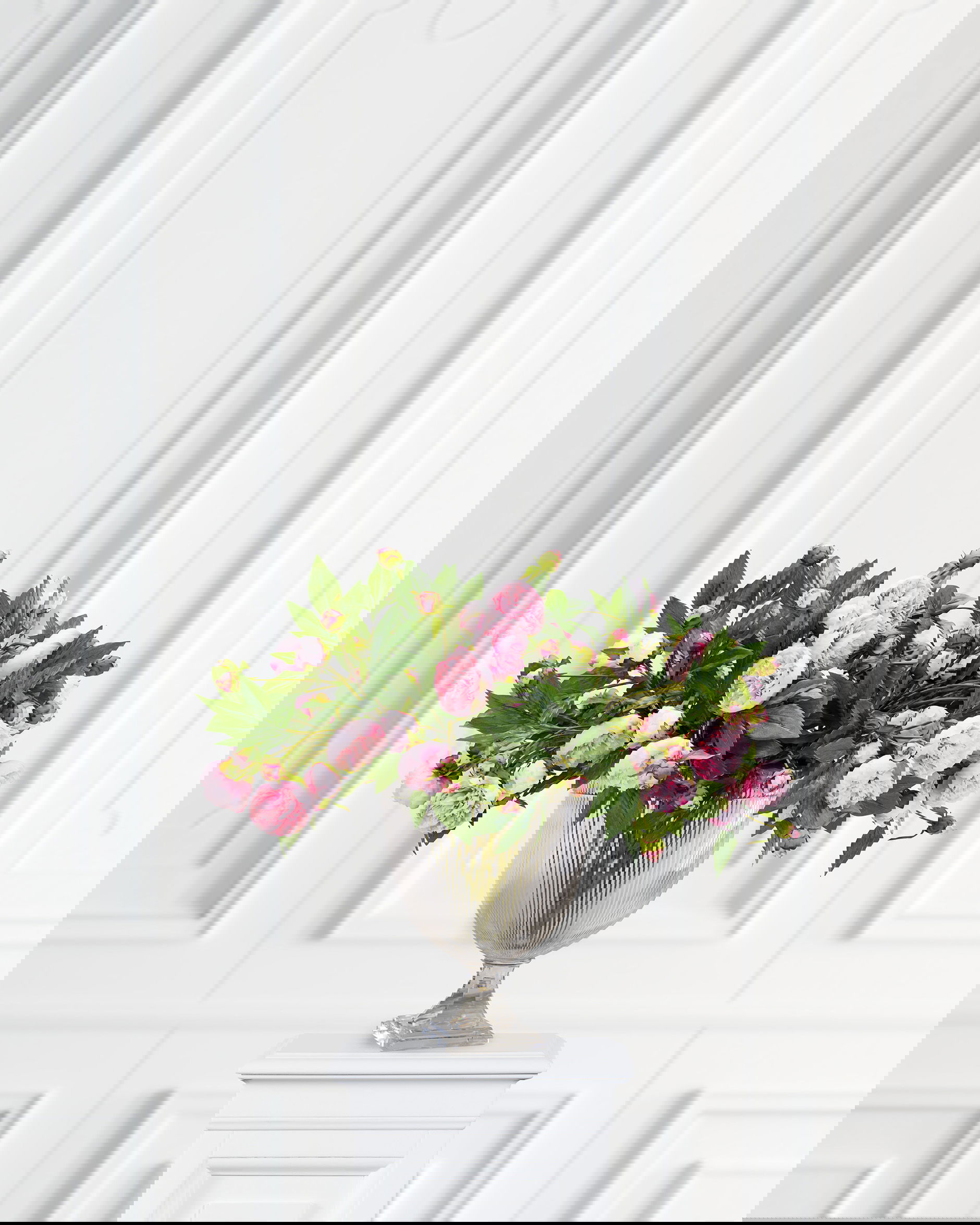 Pfingstrose Schnittblume rosa