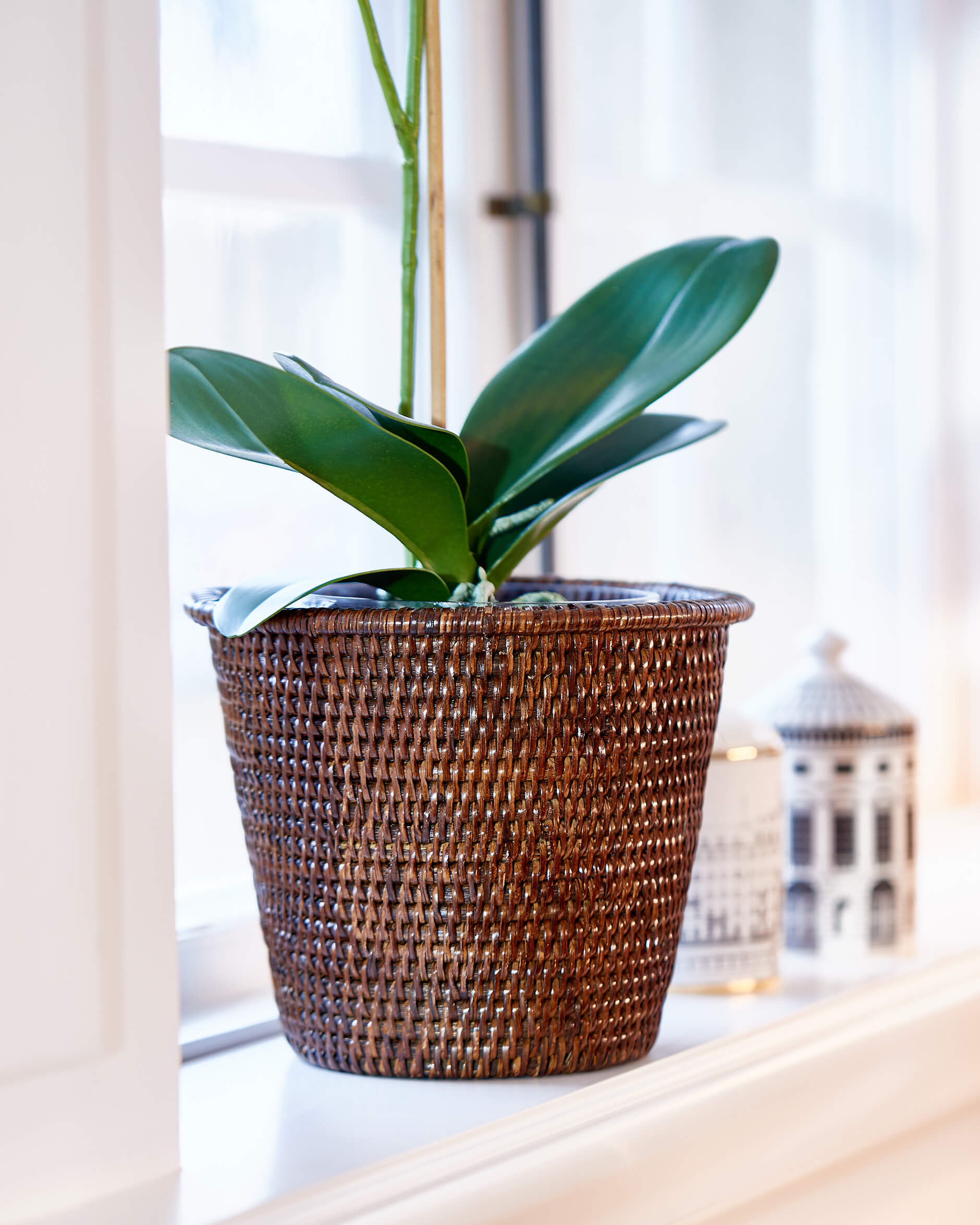 Cognac kruka rotting