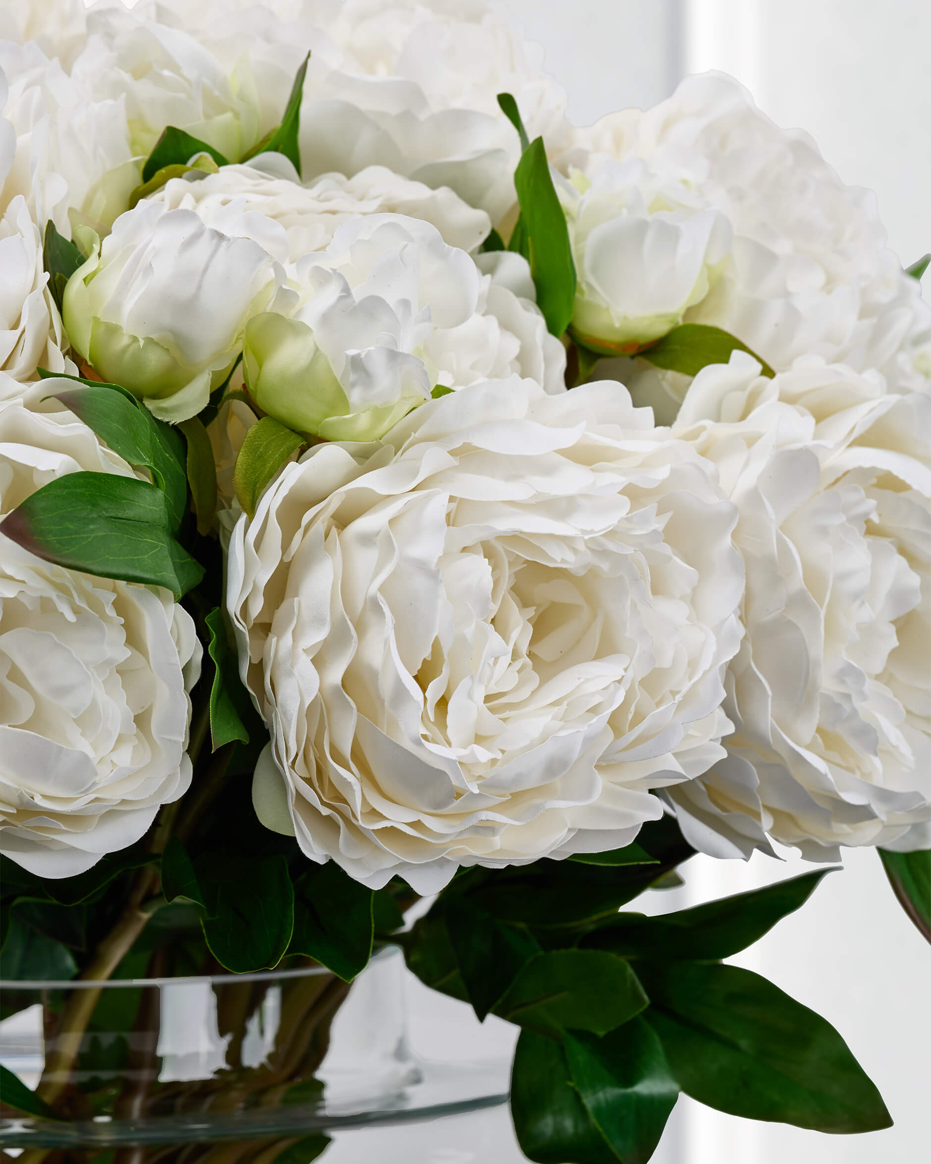 Pion snittblomma vit