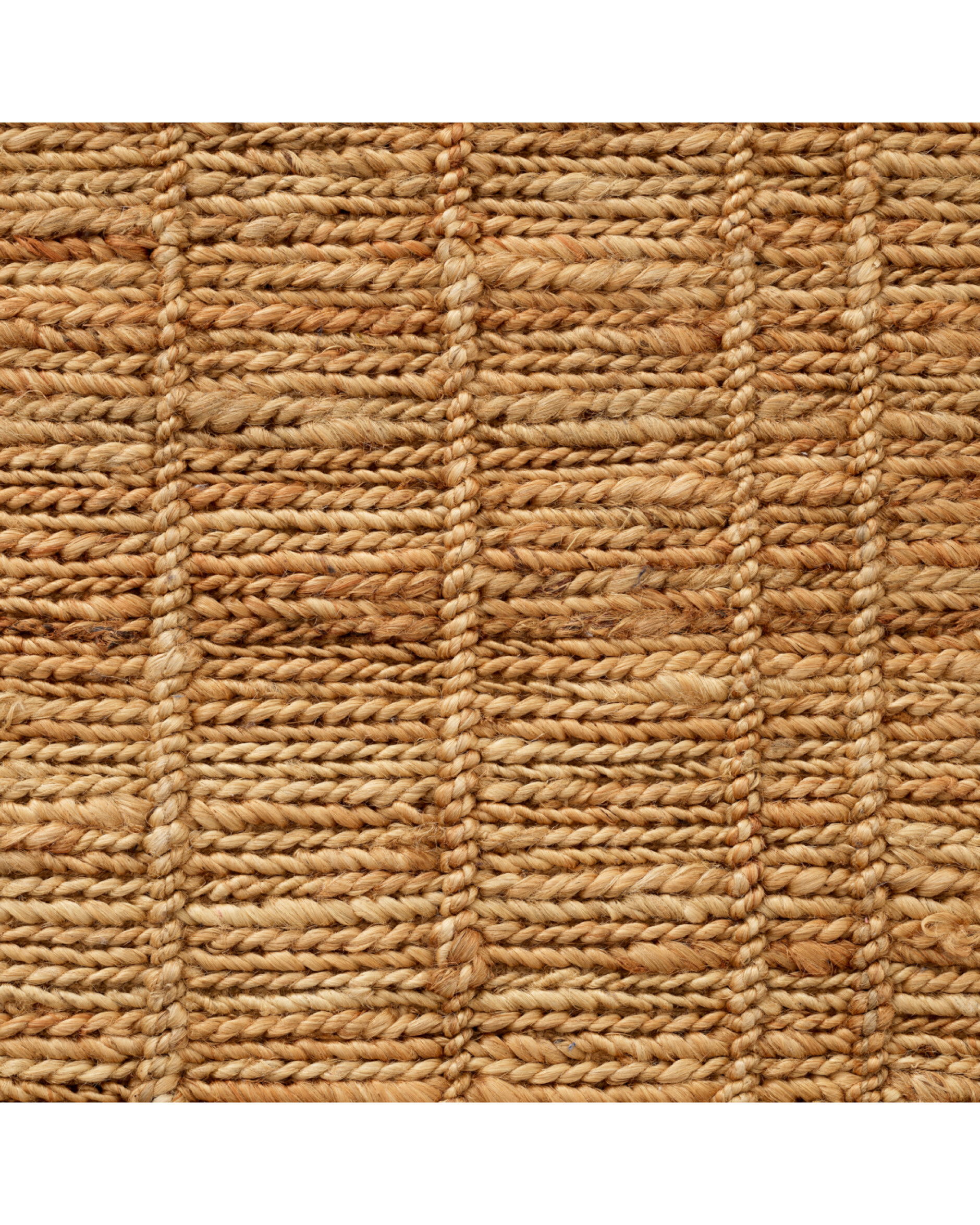 Palinuro matta natur