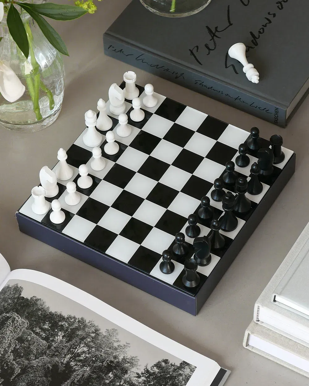 The Art of Chess Zwart / Wit
