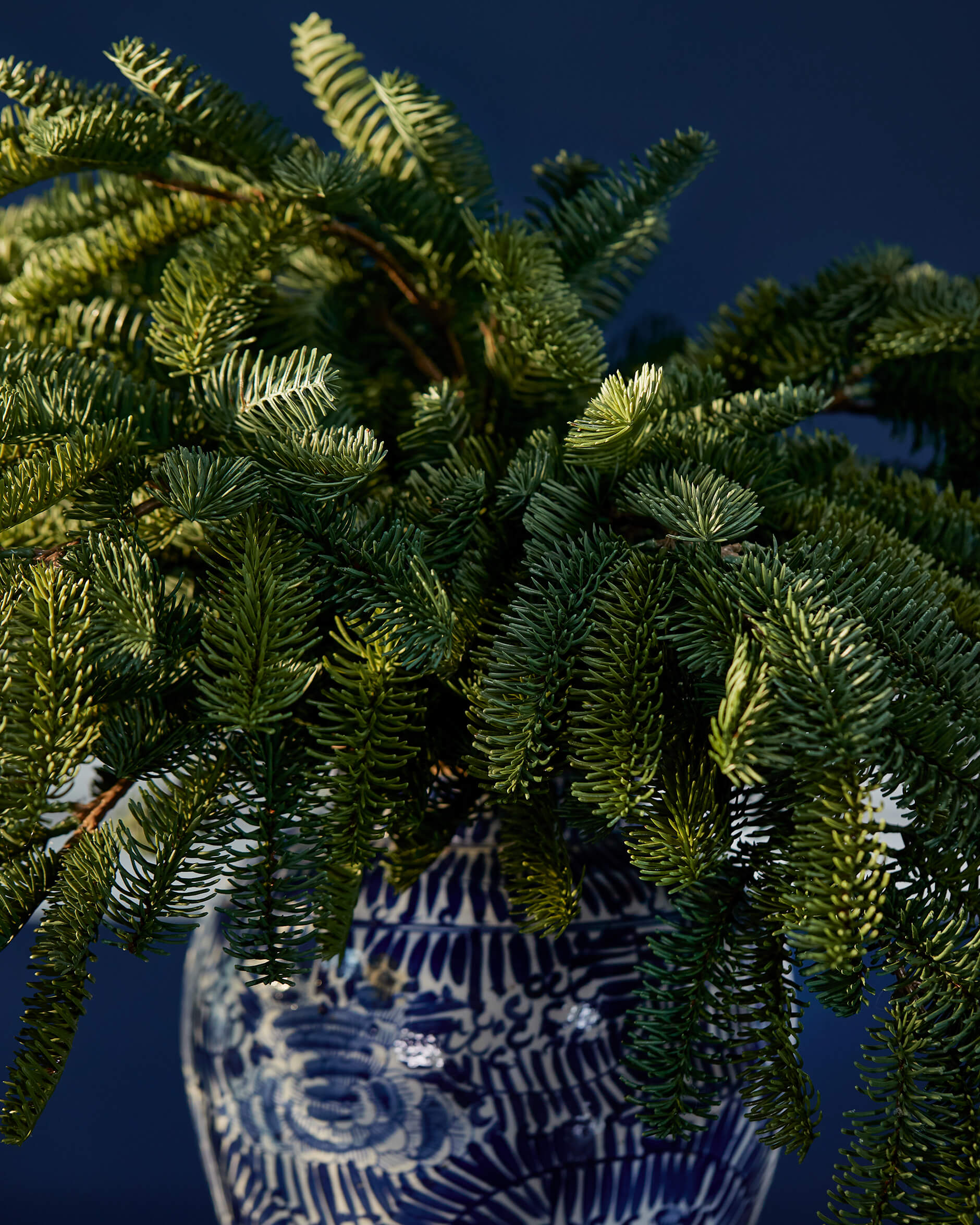 Walter Spruce Sprig Green