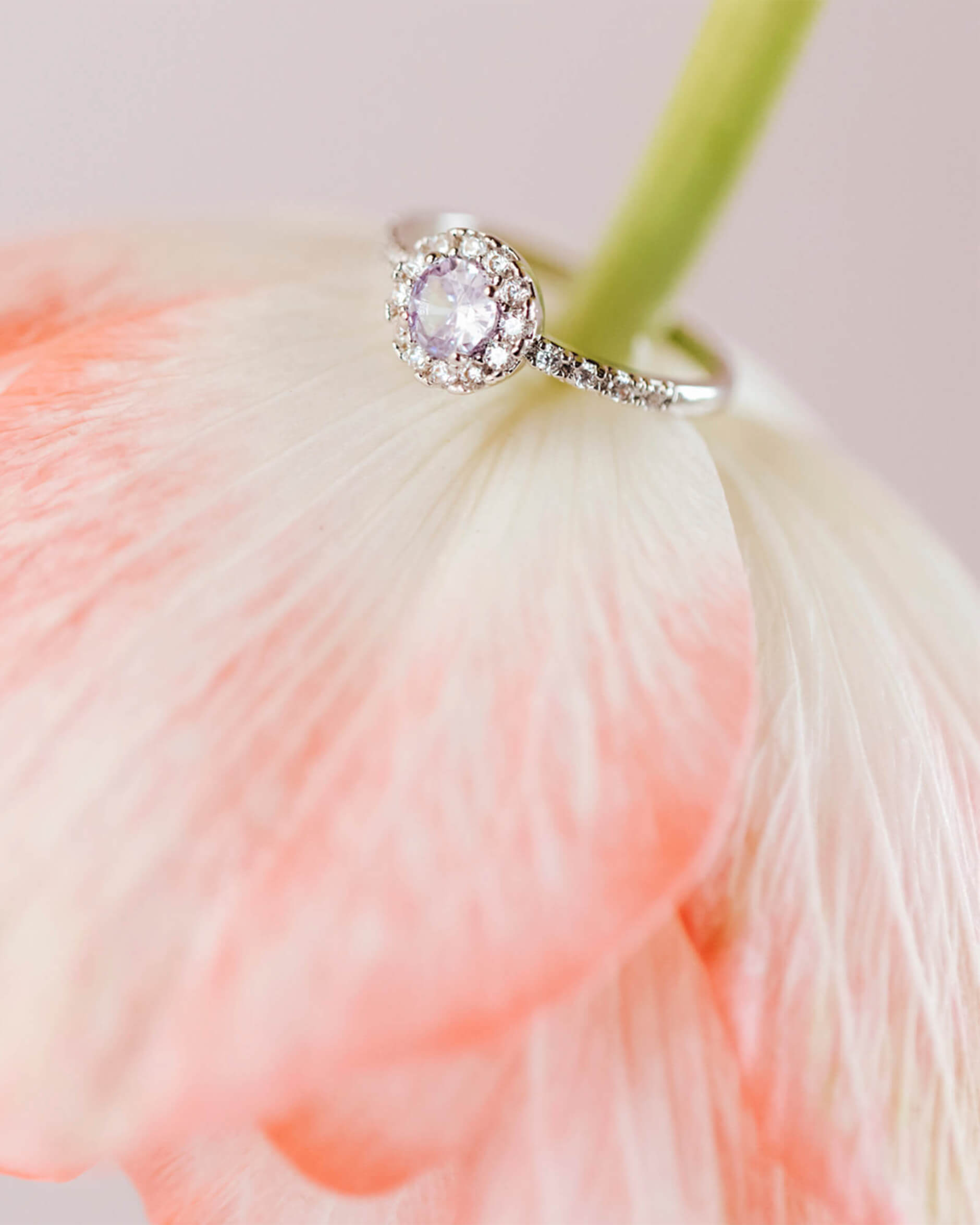 Laurie Ring Lavender