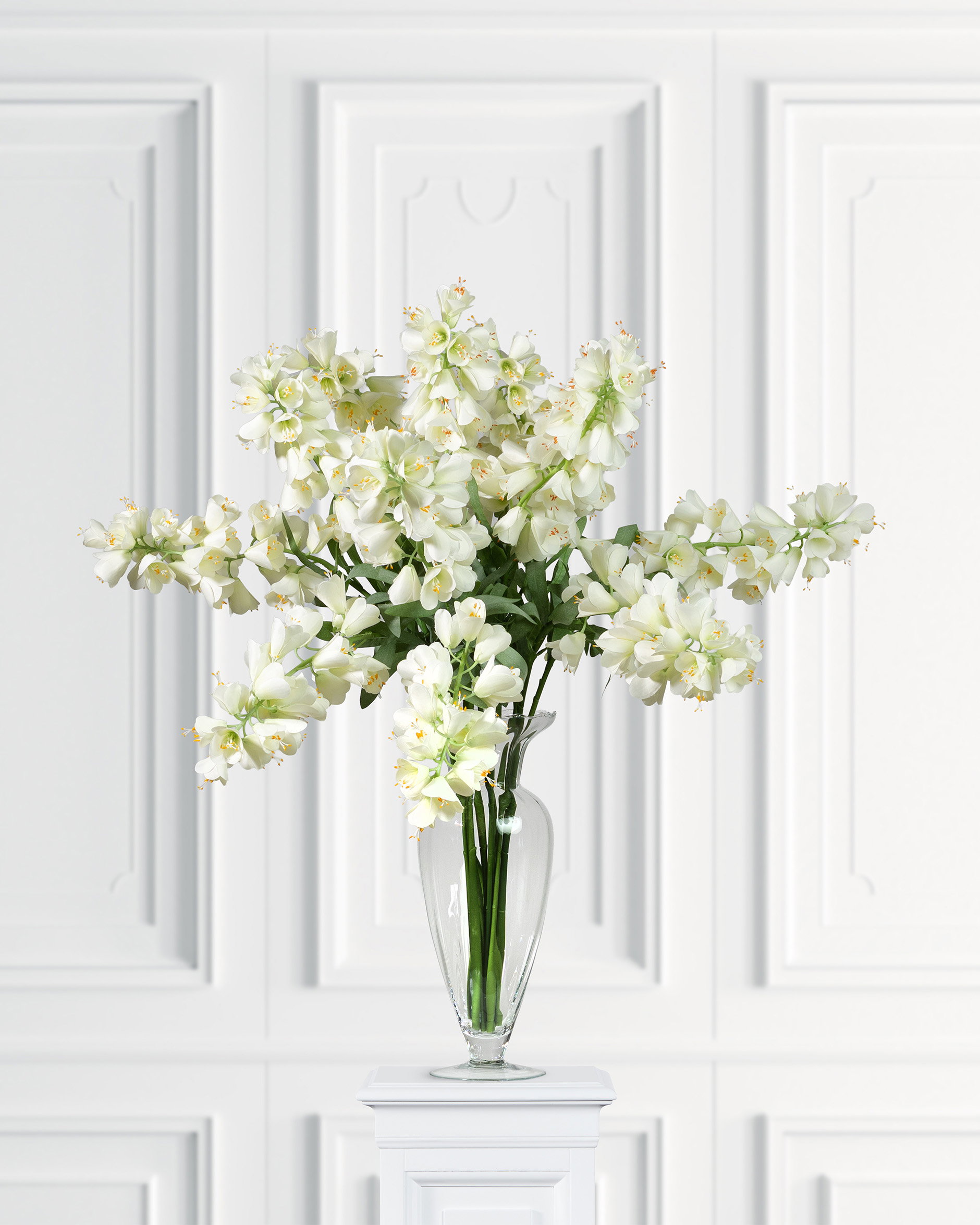 Frittilaria snittblomst hvit