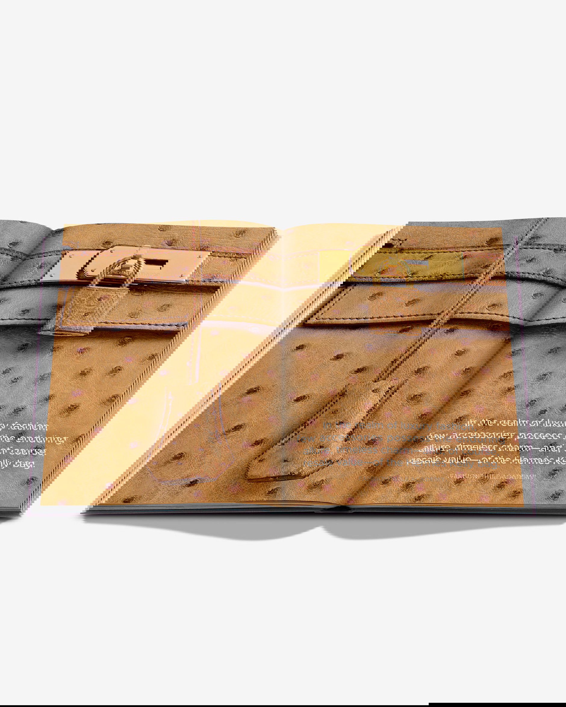 Fashionphile: The Book of Iconic Bags