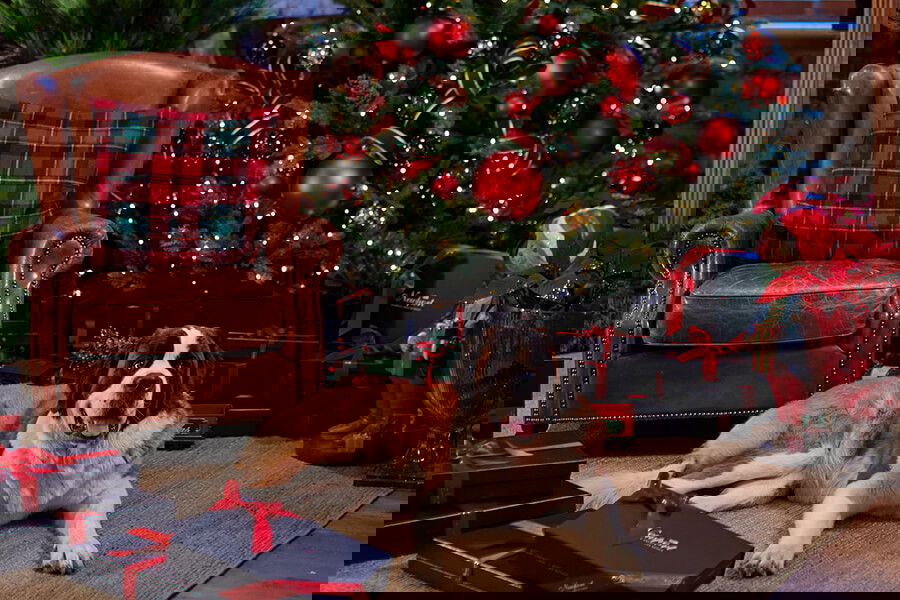 Newport Christmas Shop