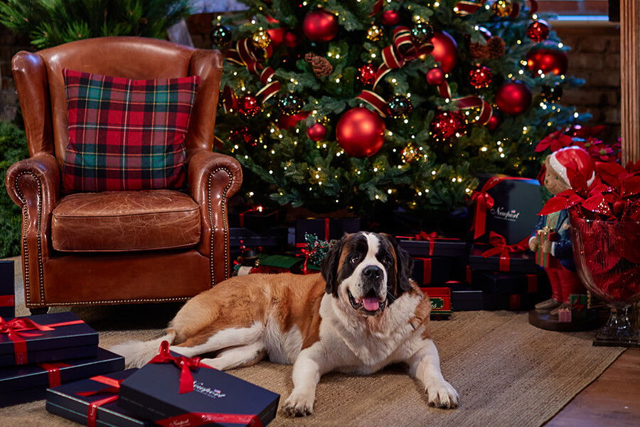 Newport Christmas Shop