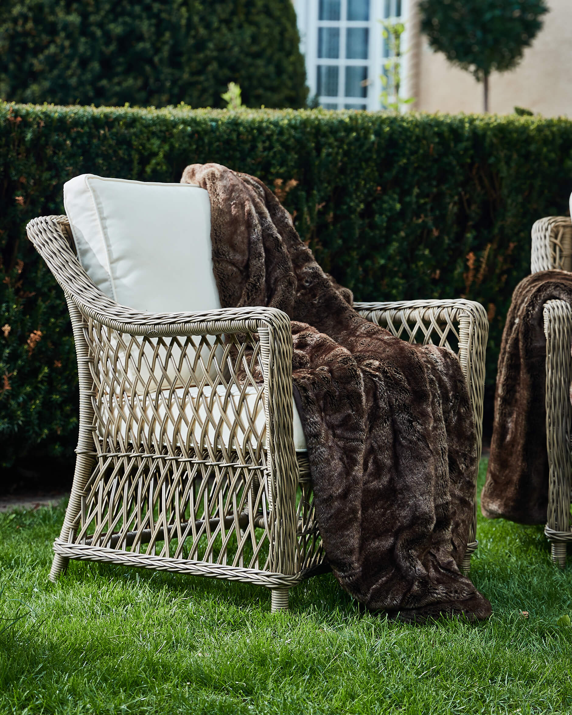 Aspen Throw Brown Bear