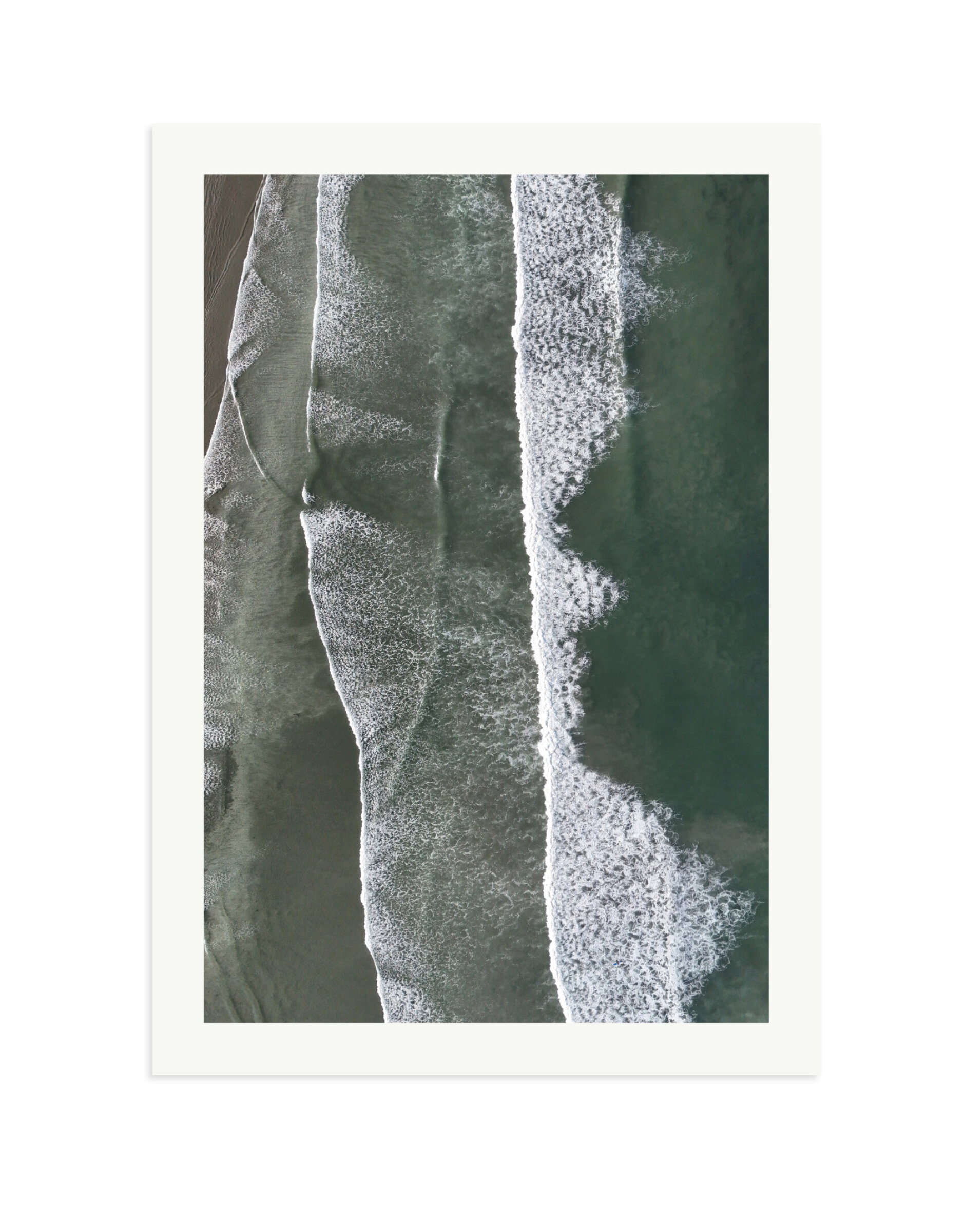 Tofino Surf Print Only / XXL