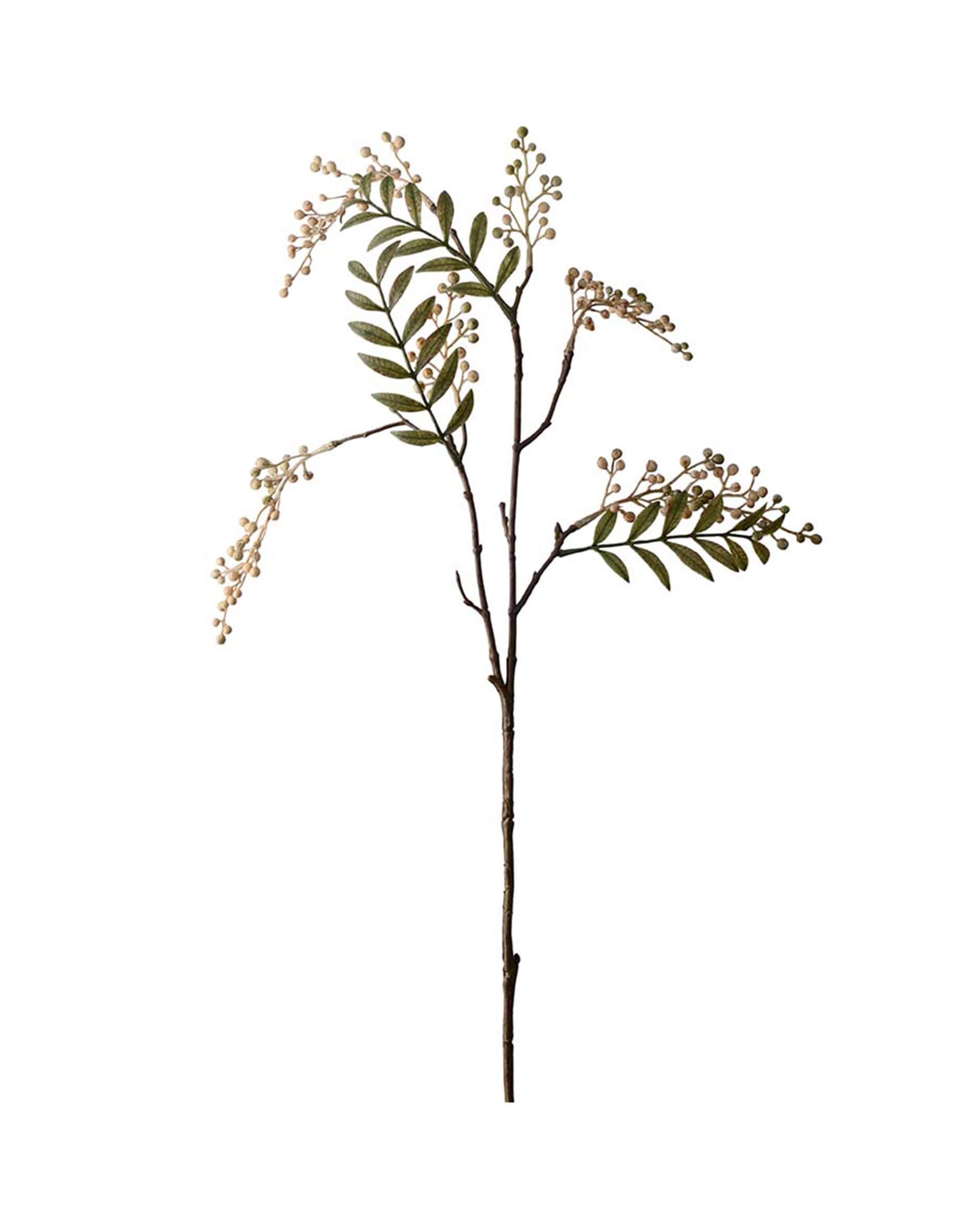 Bärkvist snittblomma cream