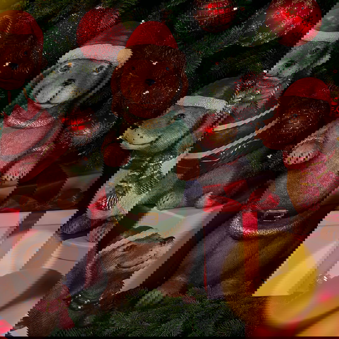 Newport Christmas Shop