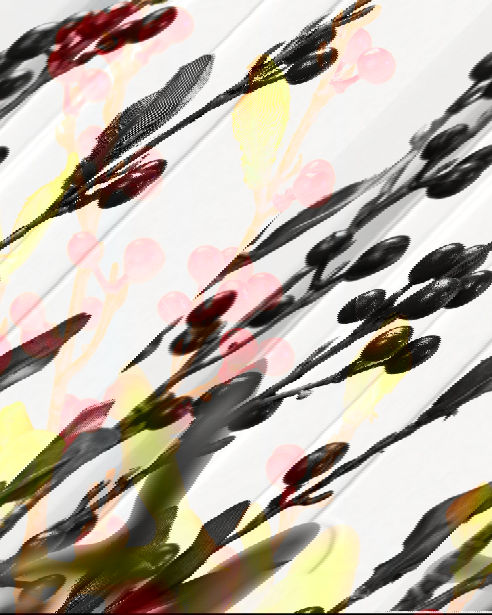 Marjaoksa leikkokukka punainen