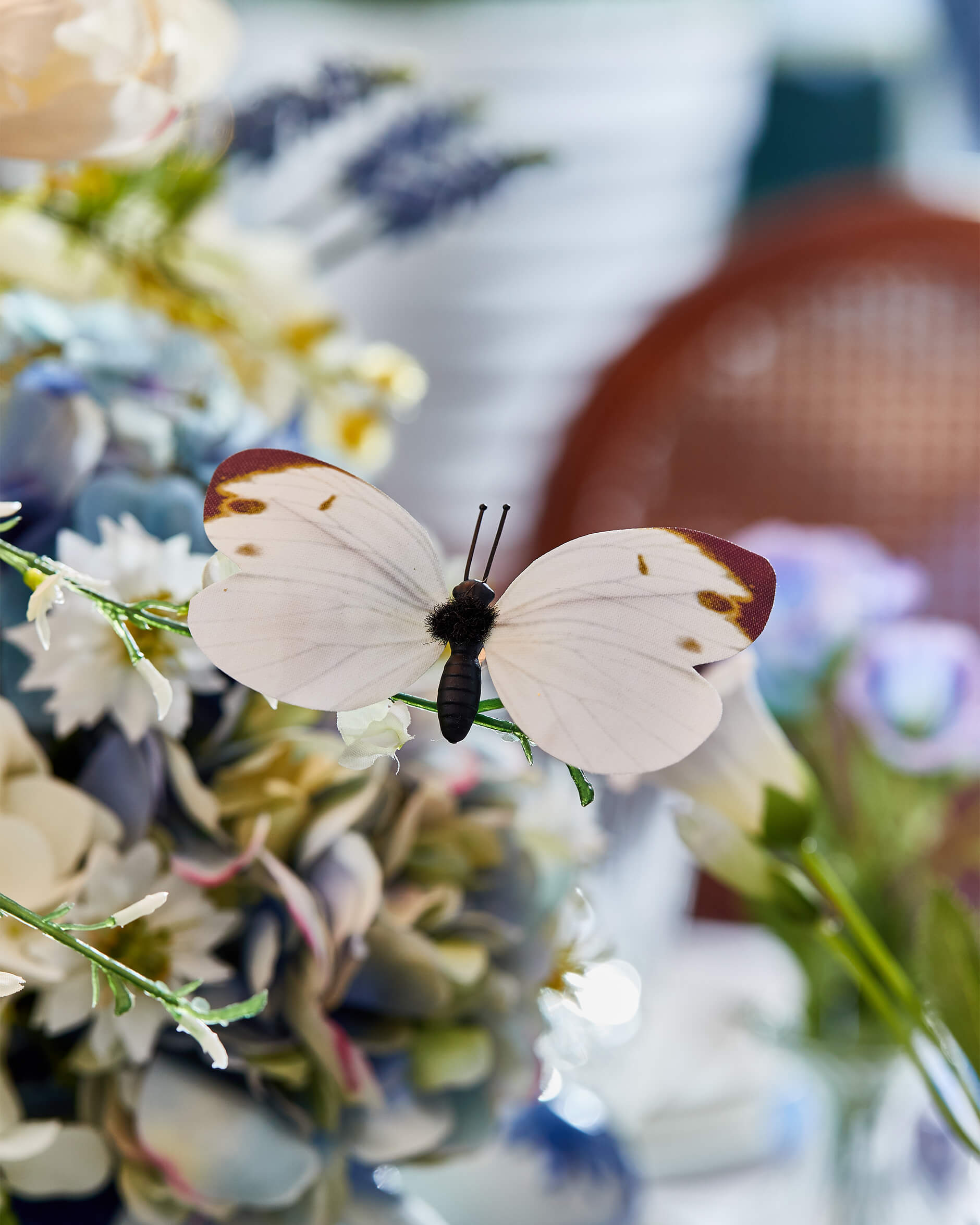 Sonja koristeperhonen