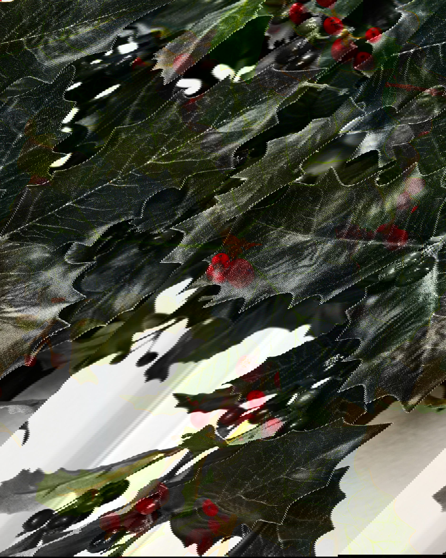 Järnek snittblomma grön/röd 85cm