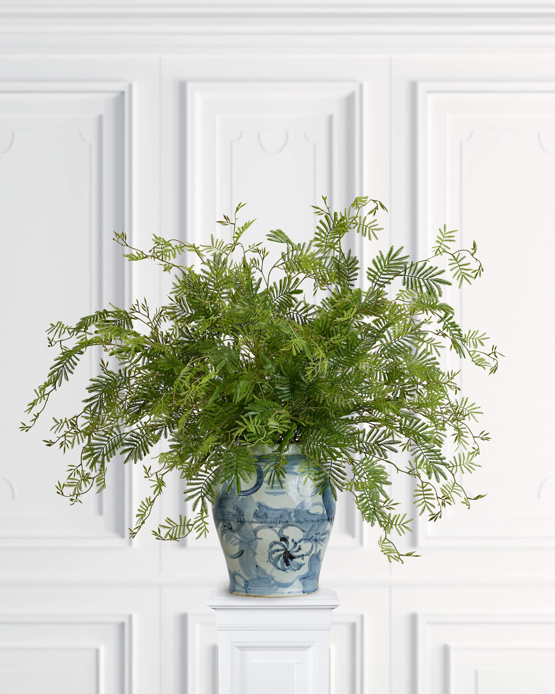 Mimosazweig Schnittblume grün