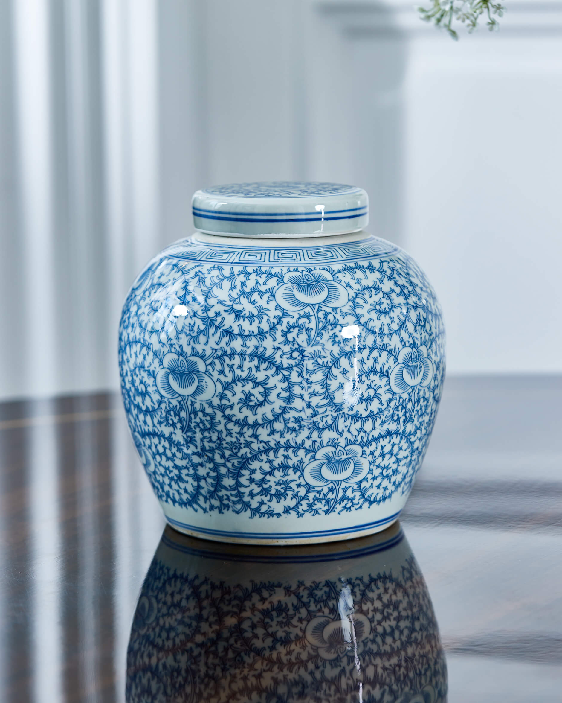 Leora ingefärskrus vit/blå