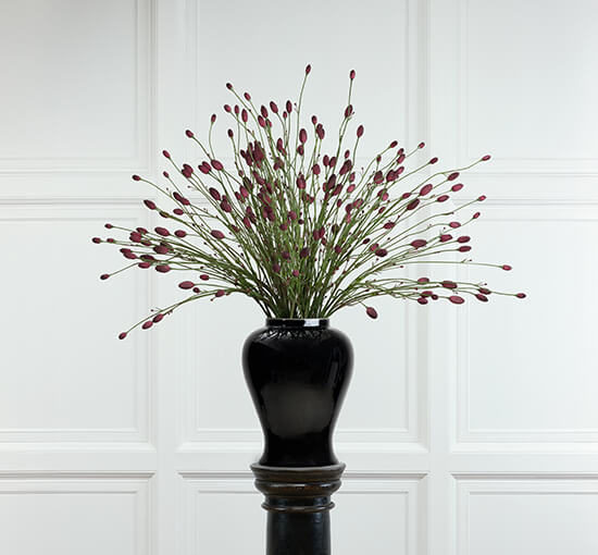 Bourgondisch - Pimpinell Cut Flower Wine Red