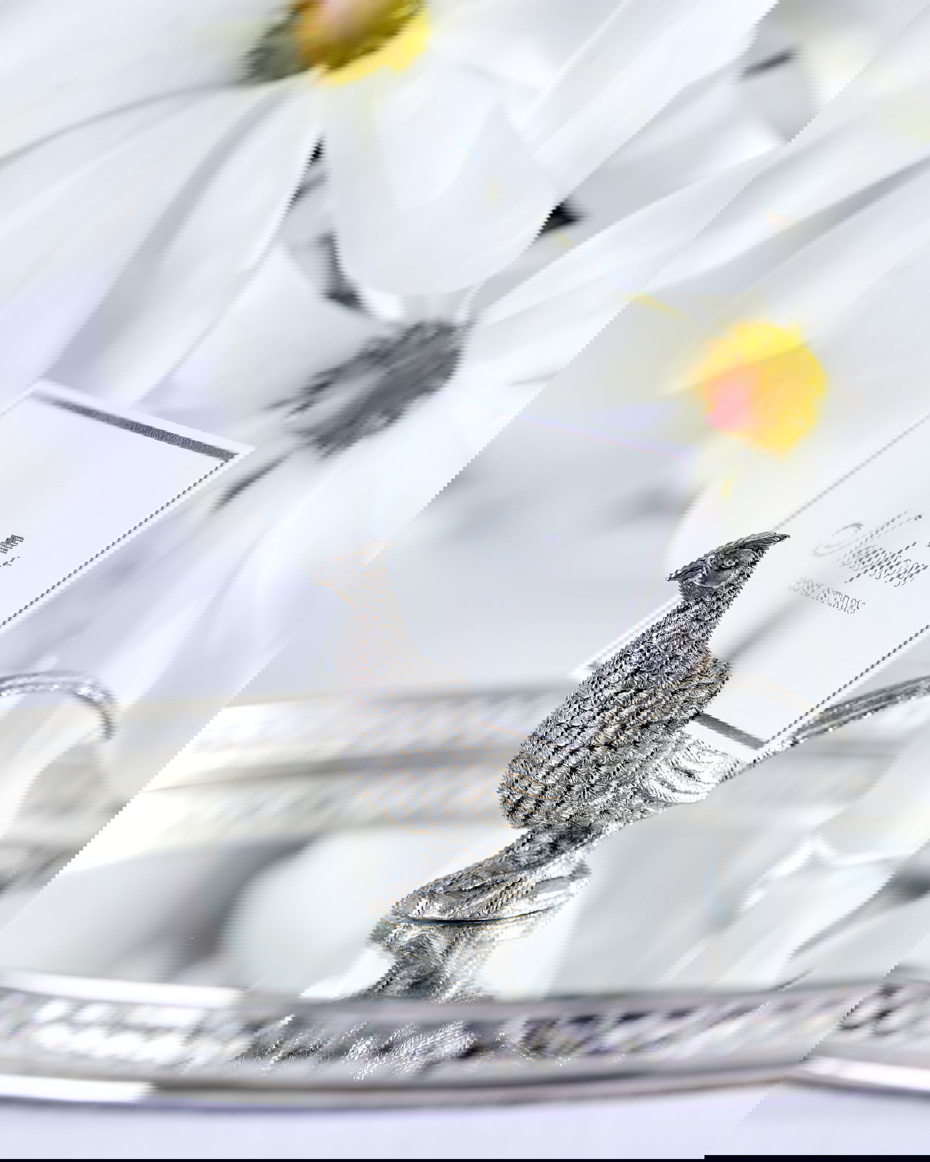 Fasan placeringskortshållare tenn