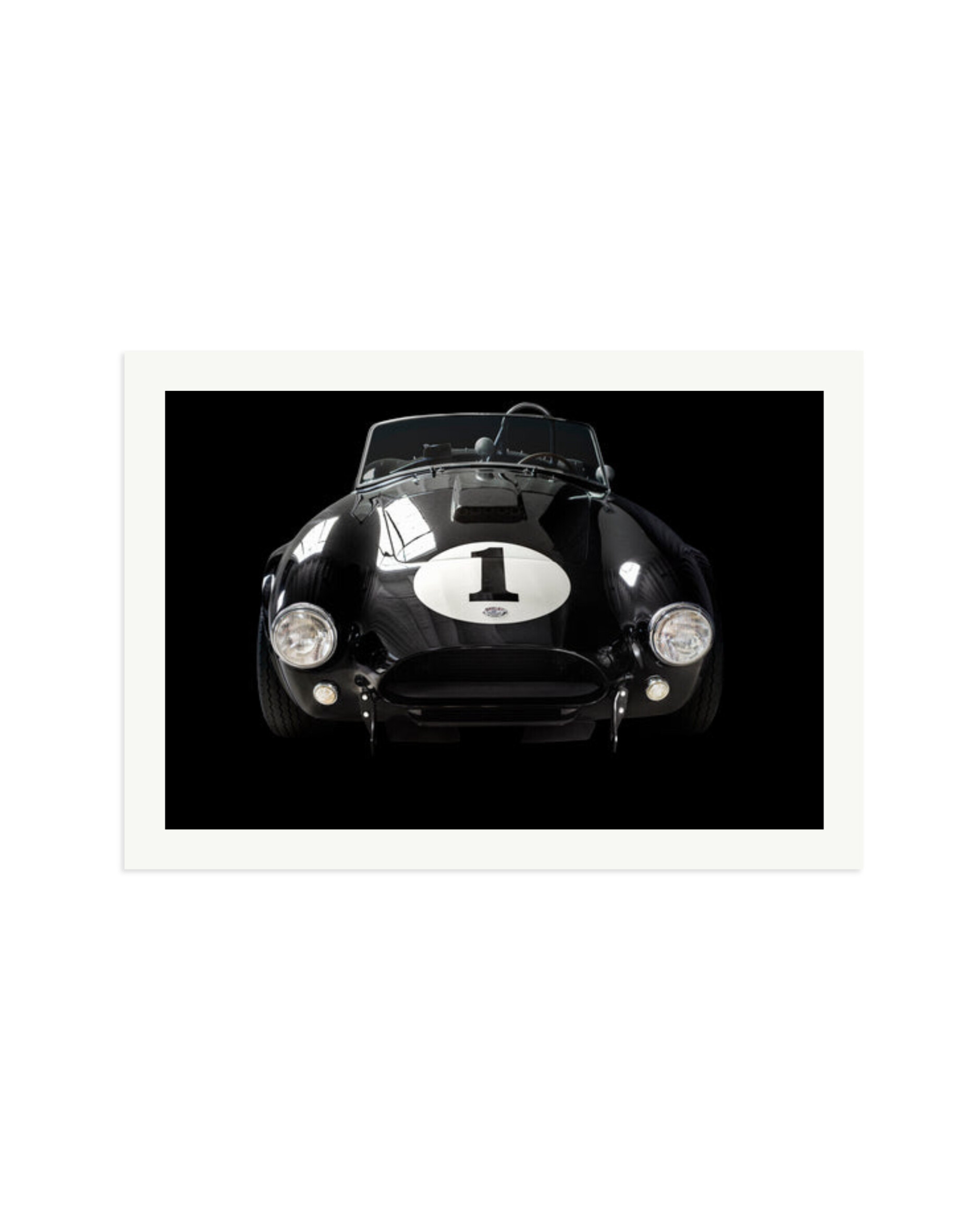 Shelby Cobra Print Only / XXL