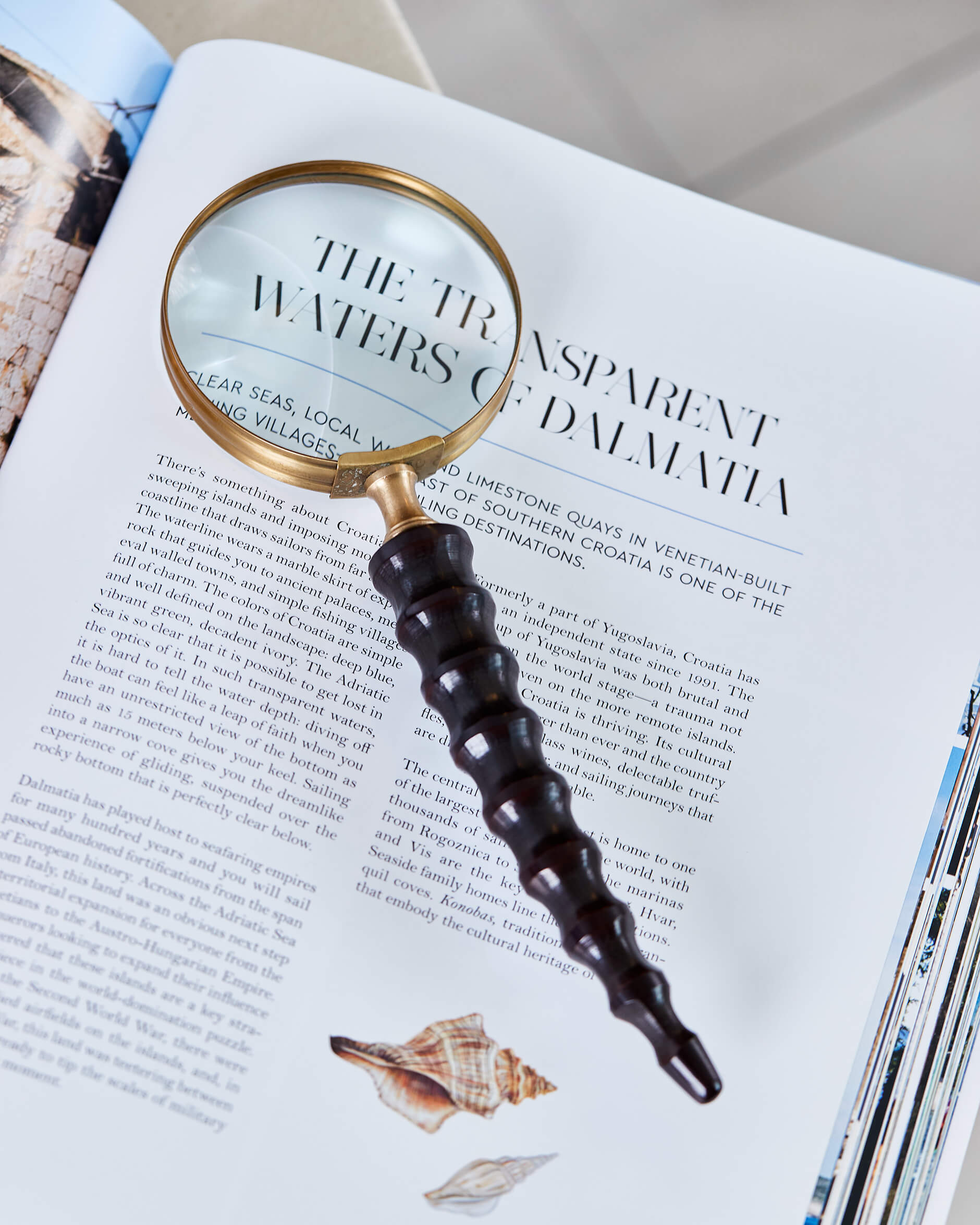 Julien-suurennuslasi, ruskea