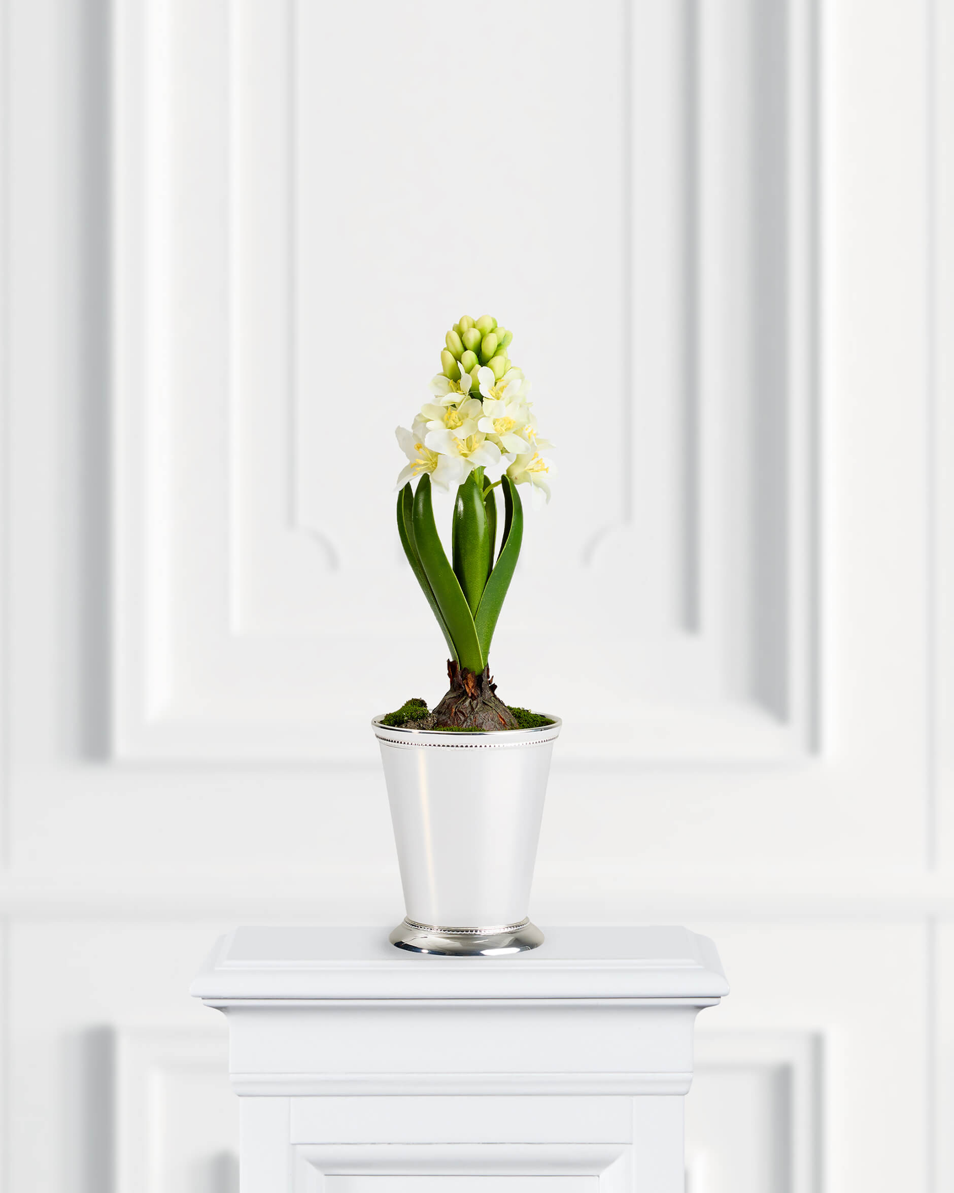 Hyacint konstväxt vit