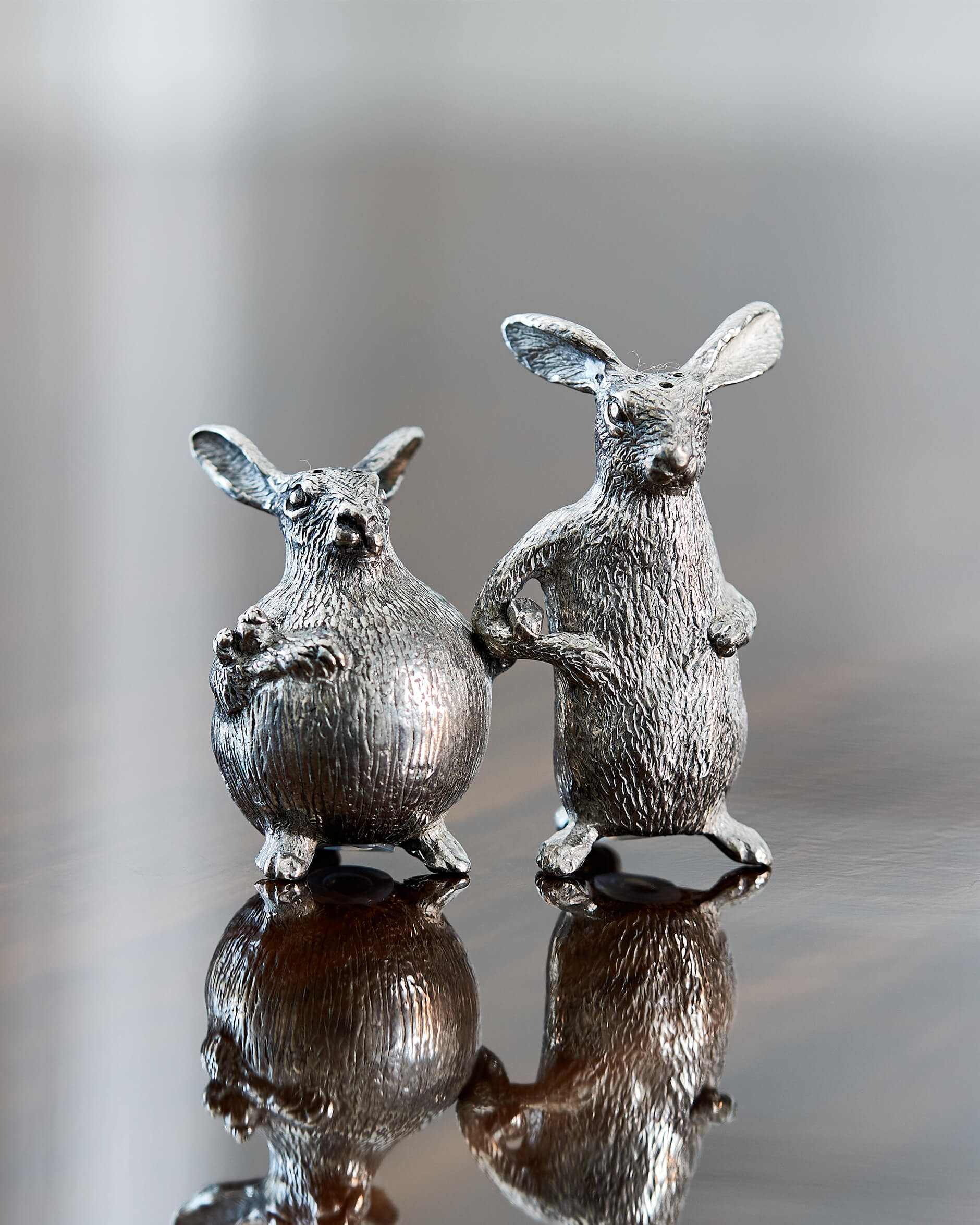 Kaniner salt- och pepparkar tenn