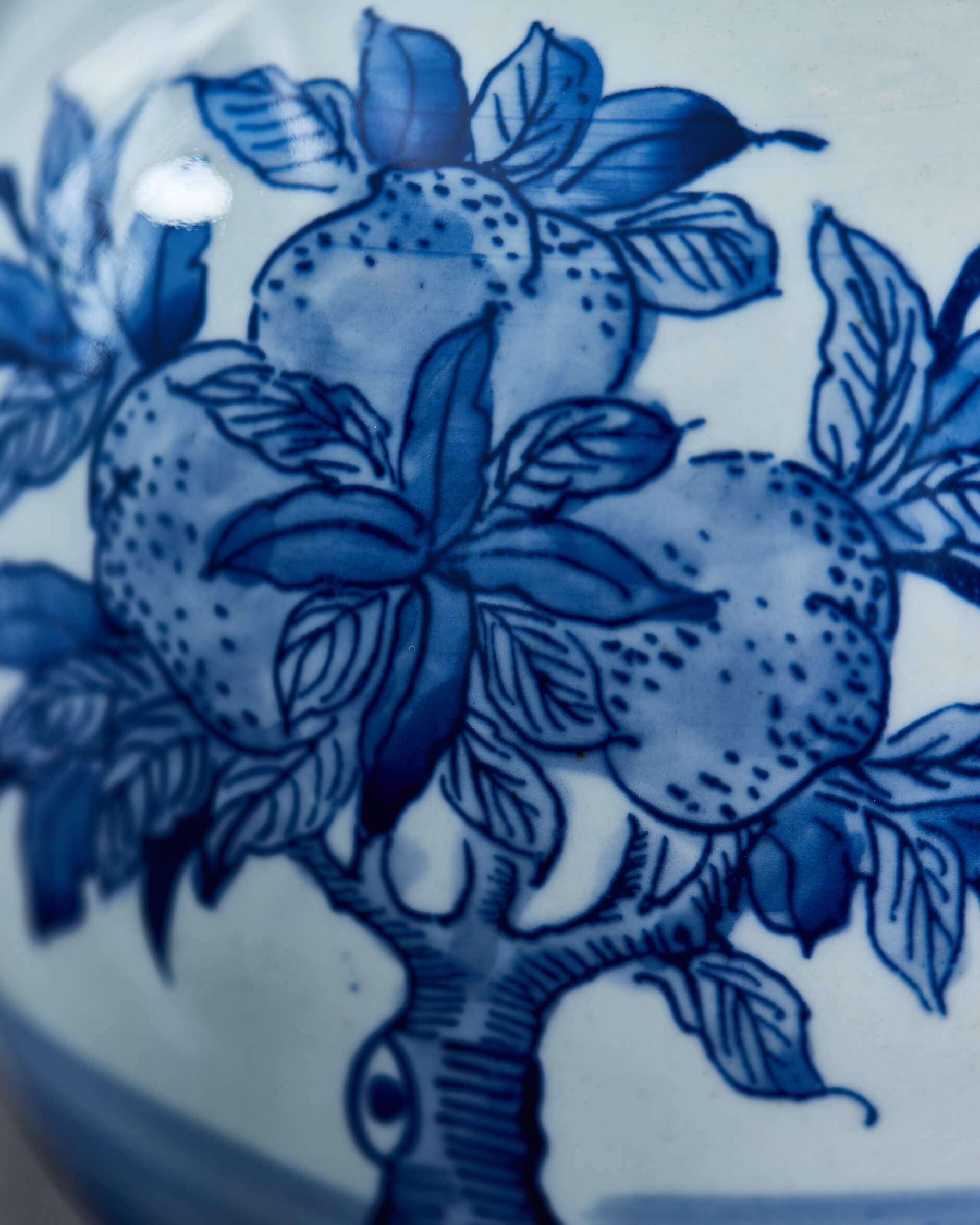 Naomi ingefärskrus blå/vit