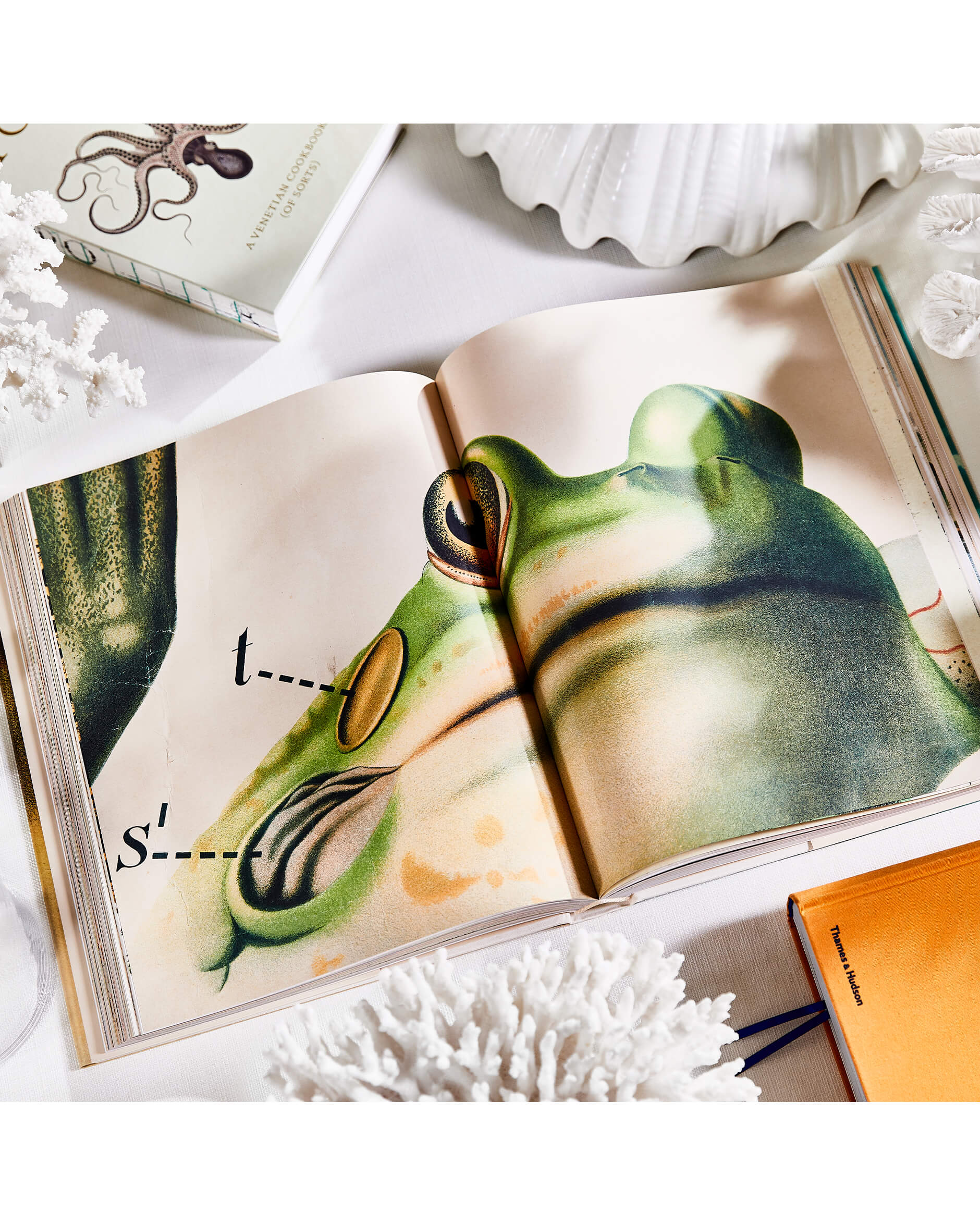 John Derian Picture Book