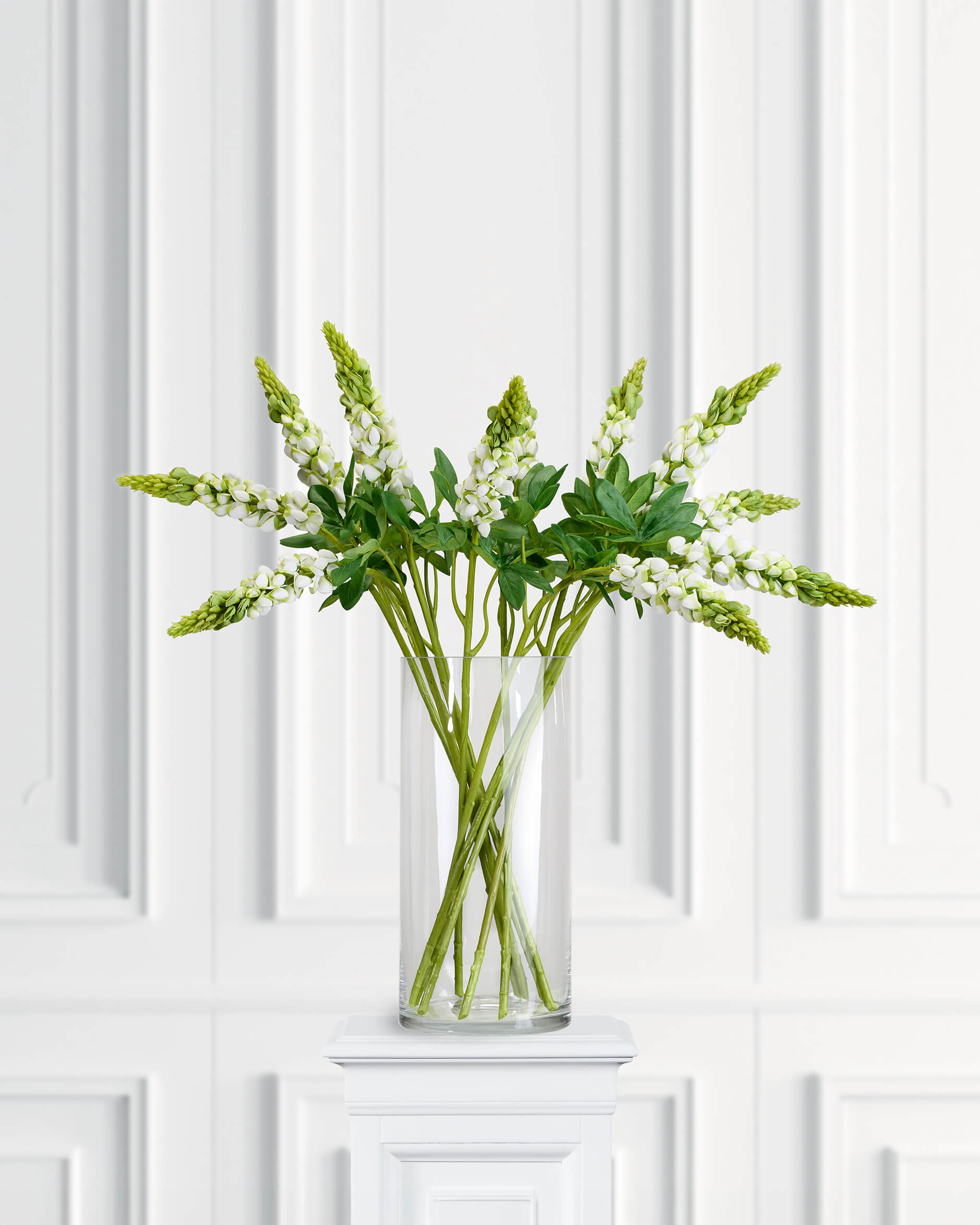 Lupine Cut Flower White