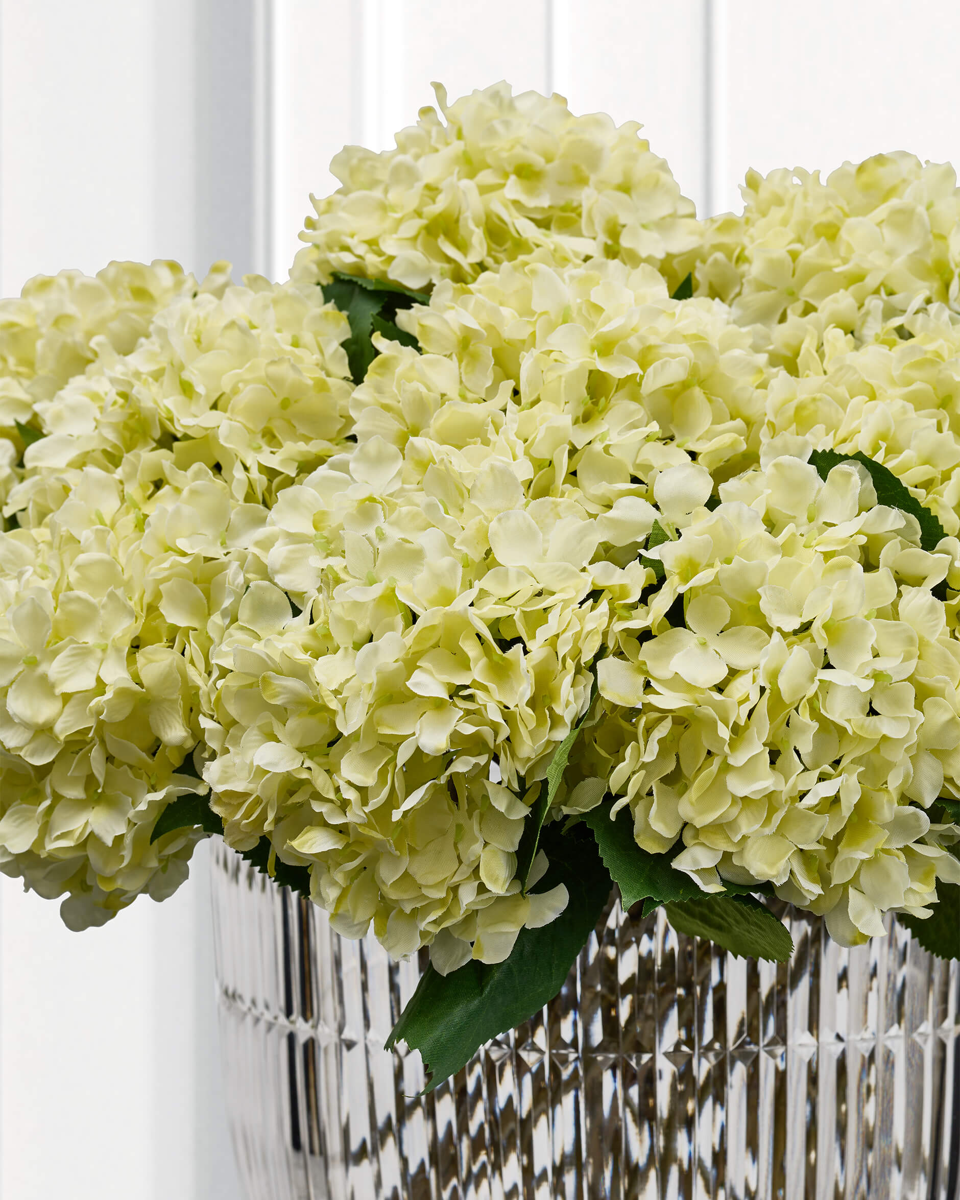 Hortensia snittblomma vit
