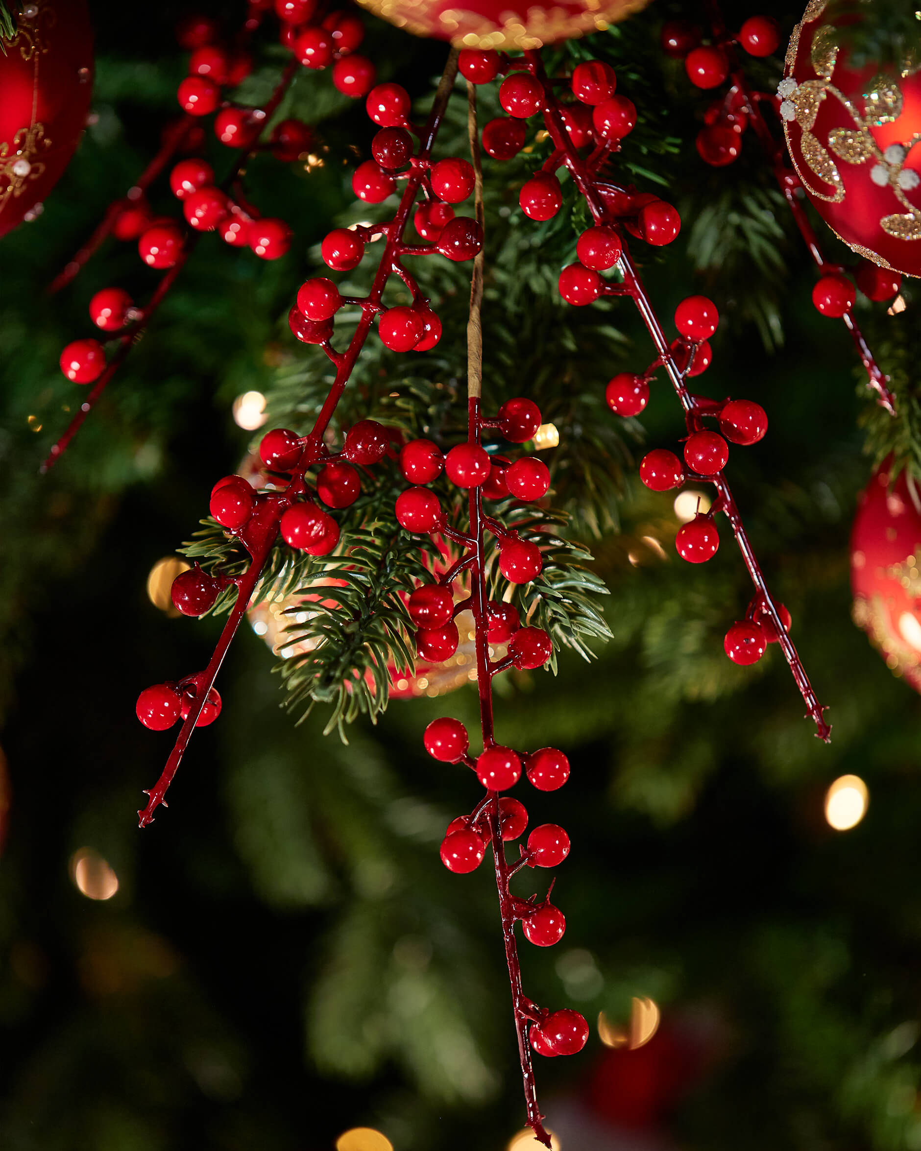 Ashby bärkvist röd